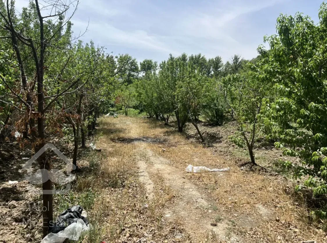 فروش باغچه 1200 ملارد - خوشنام