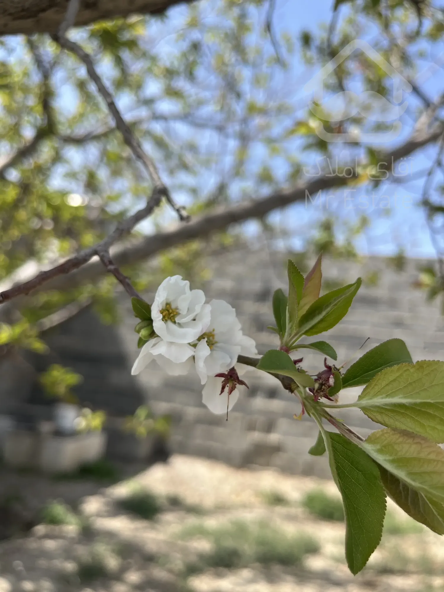 فروش باغ مبله در پیربکران خوانسار