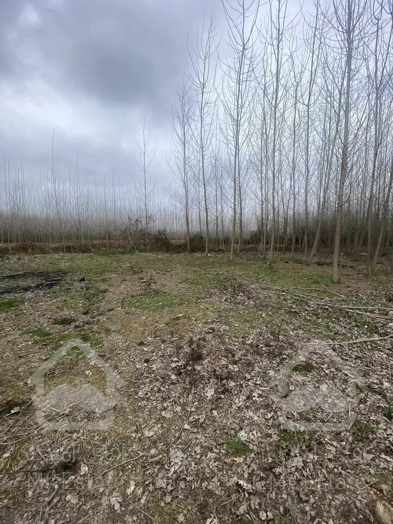 زمین ۹۰۰متری مسکونی