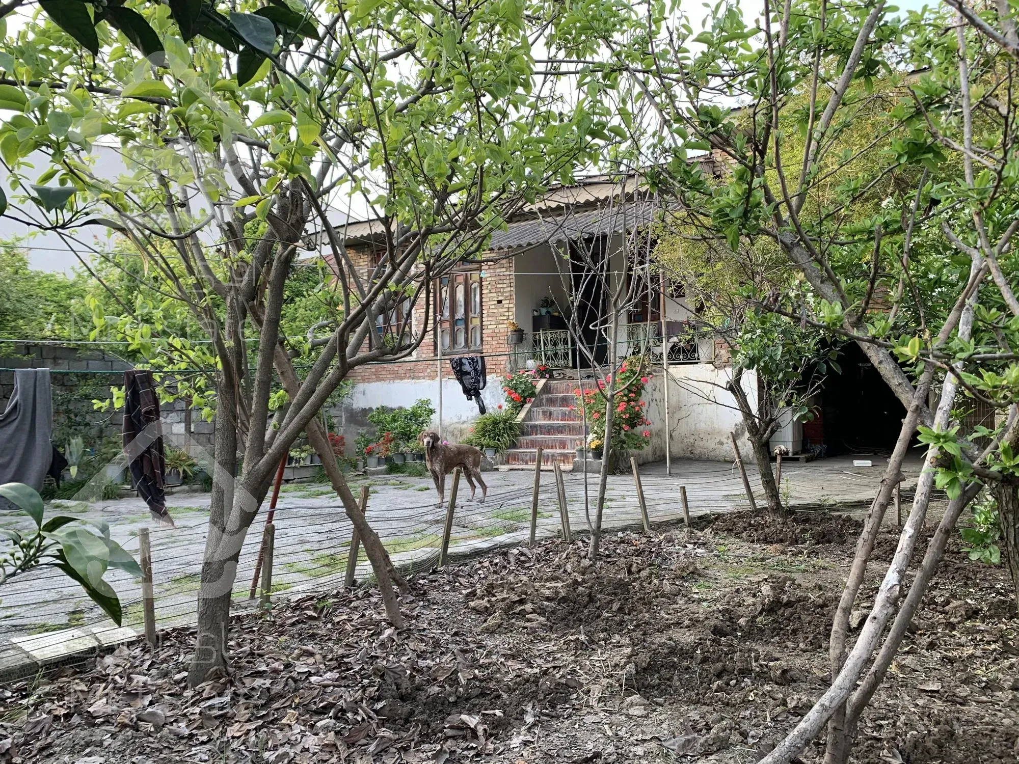 محموداباد / کلنگی قابل تفکیک /نزدیک به جاده