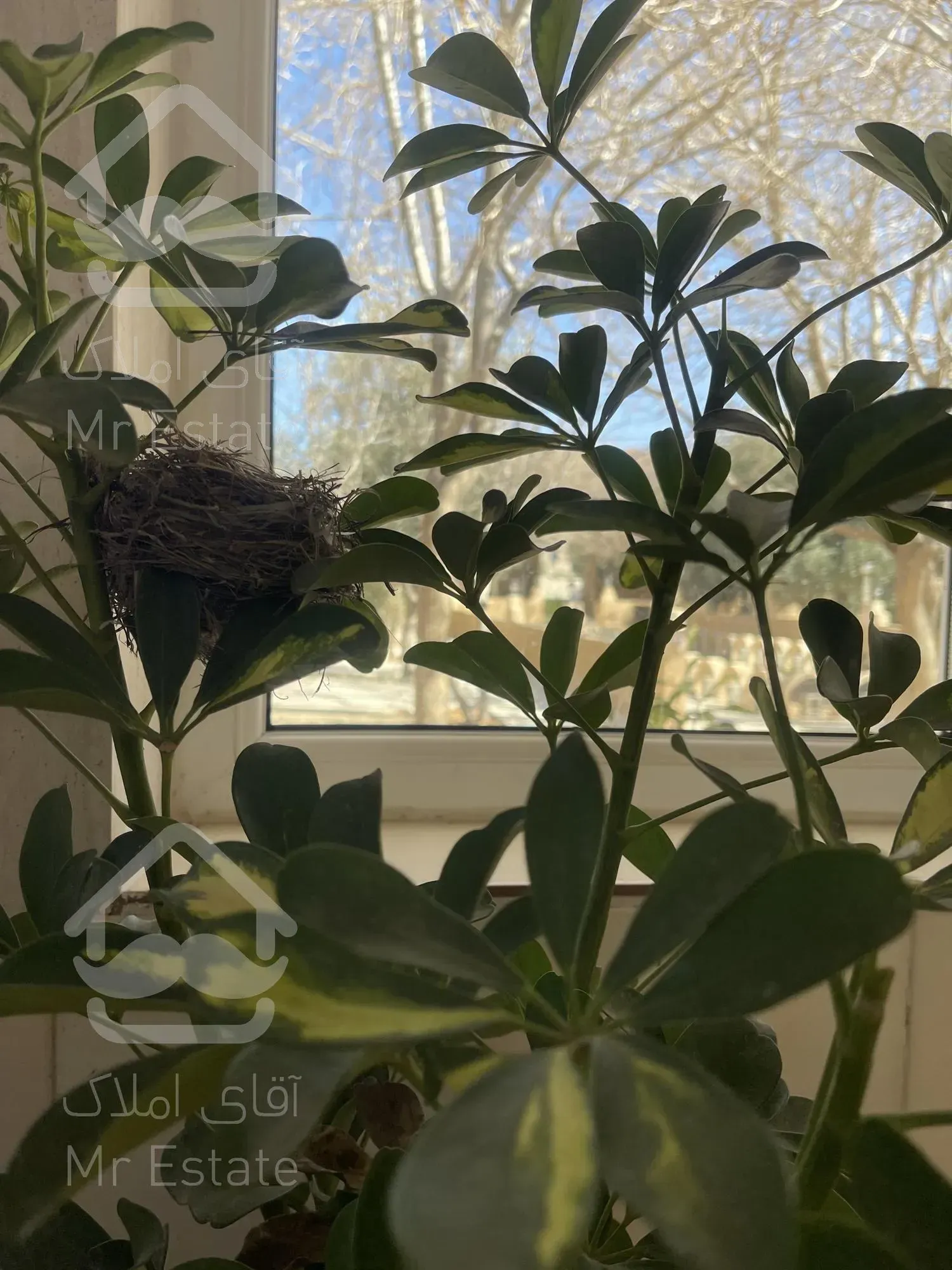 فروش آپارتمان دوخوابه فرهنگ شهر تکمیل