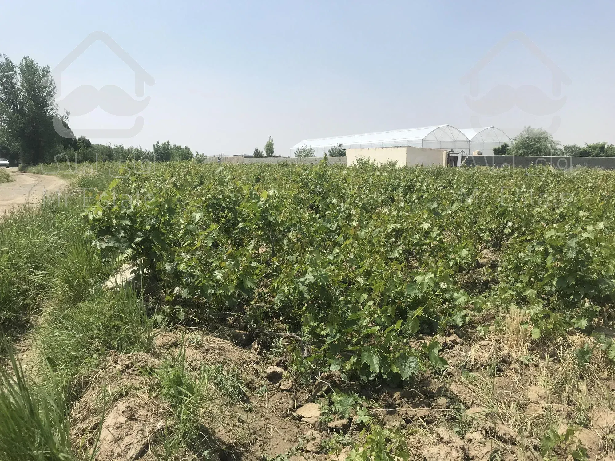 زمین 10000 متری در خرم اباد