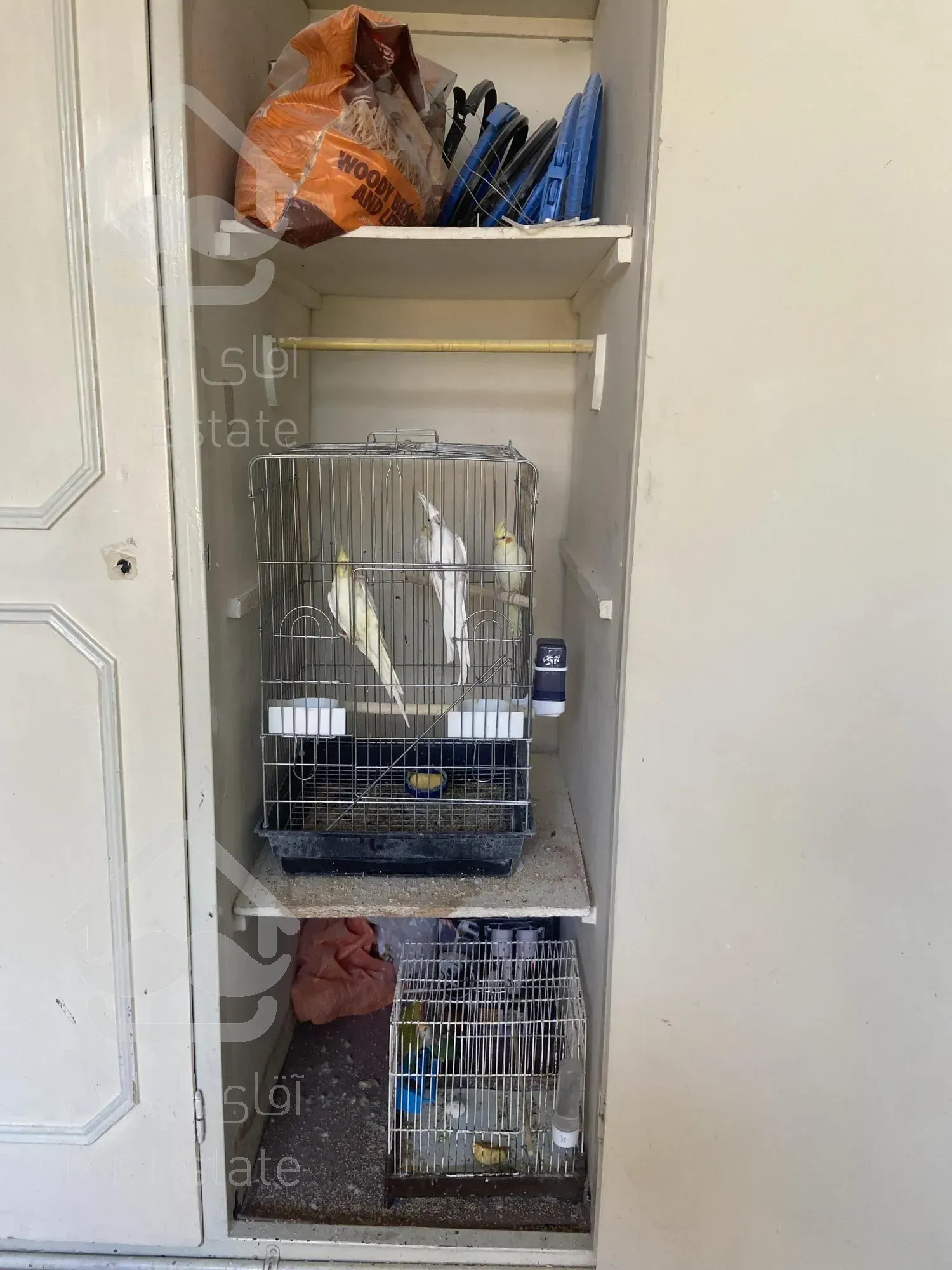 واگذاری سالن تکثیر طوطیسان با تمام امکانات