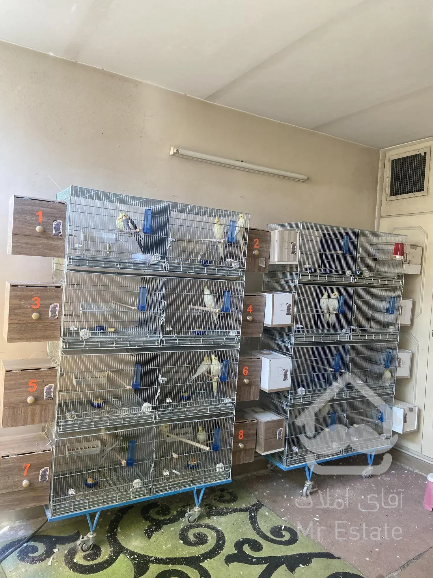 واگذاری سالن تکثیر طوطیسان با تمام امکانات