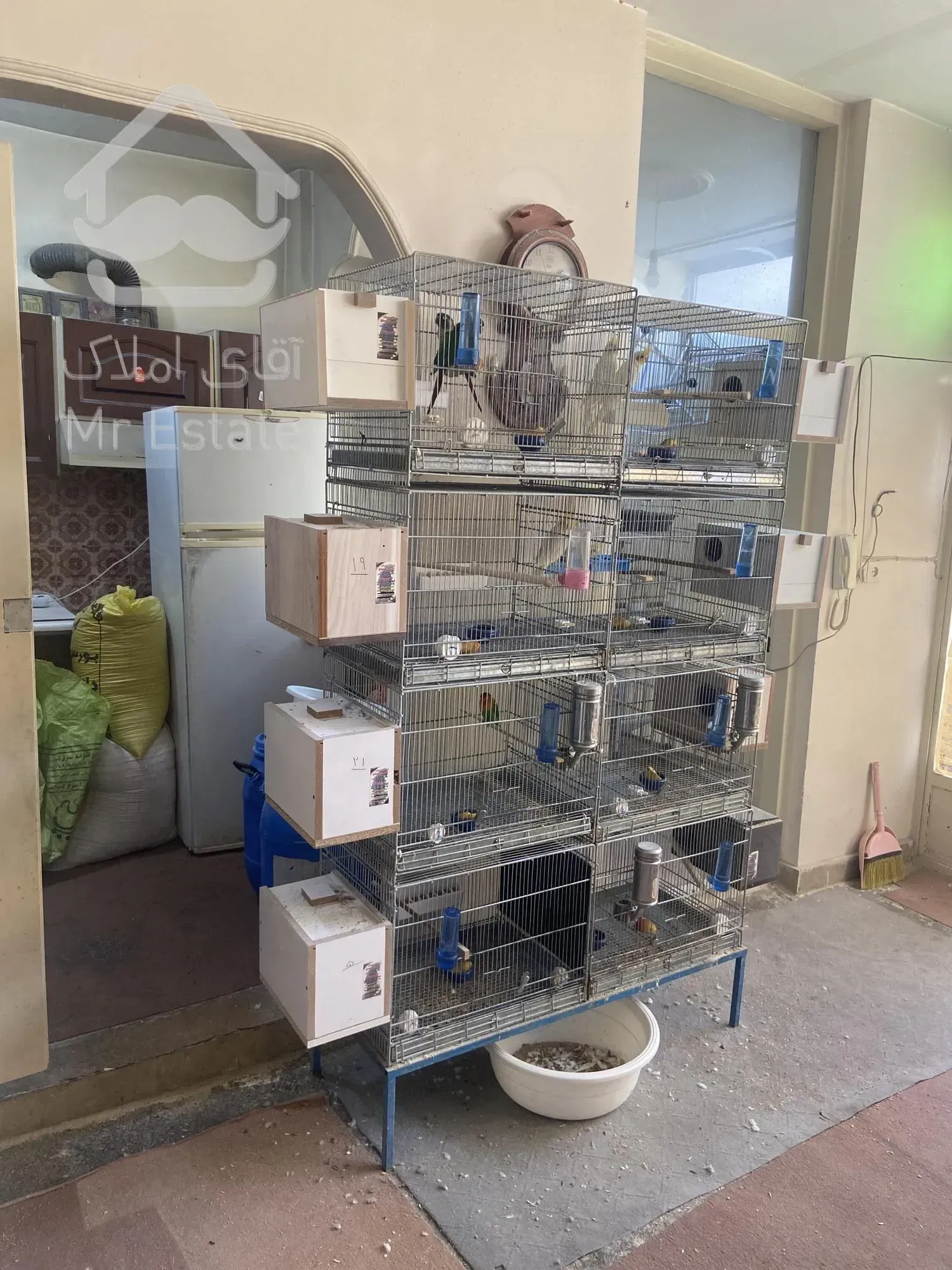 واگذاری سالن تکثیر طوطیسان با تمام امکانات