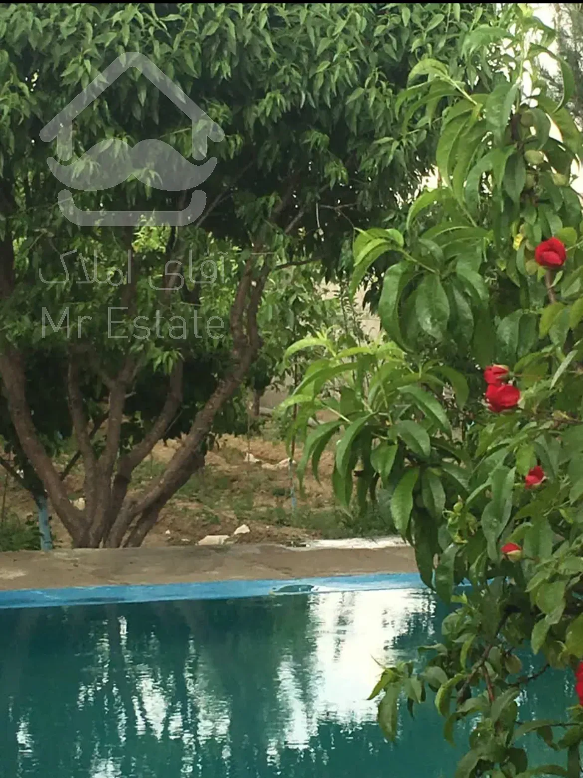 فروش فوری باغ