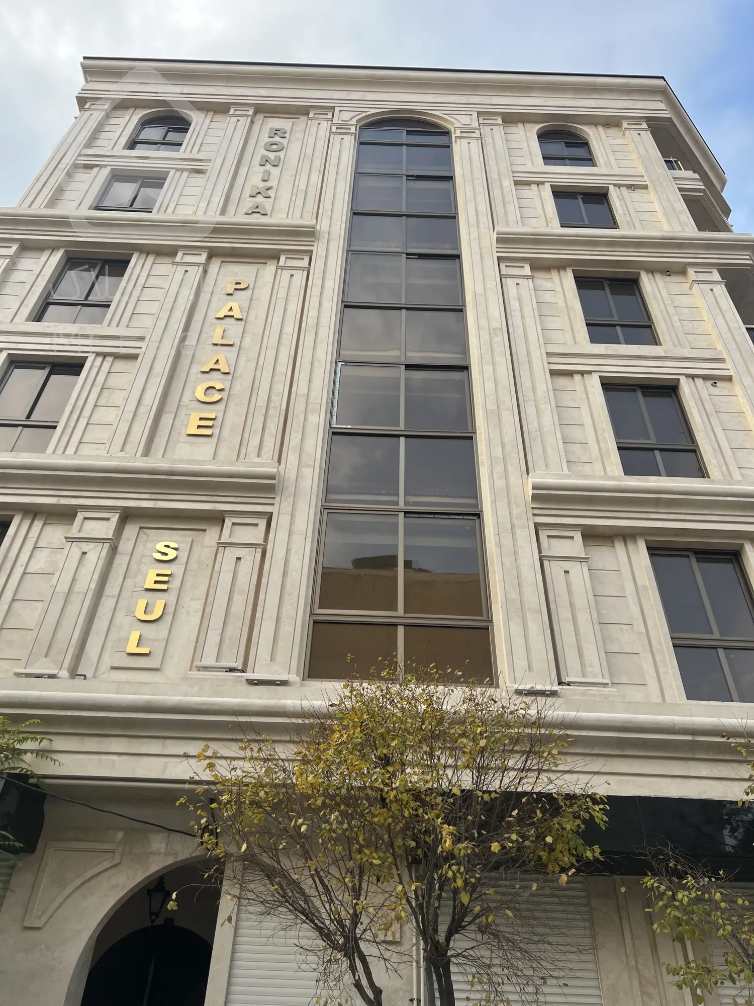 فروش اپارتمان مسکونی لوکس در رونیکا پالاس سئول با متریال درجه ۱