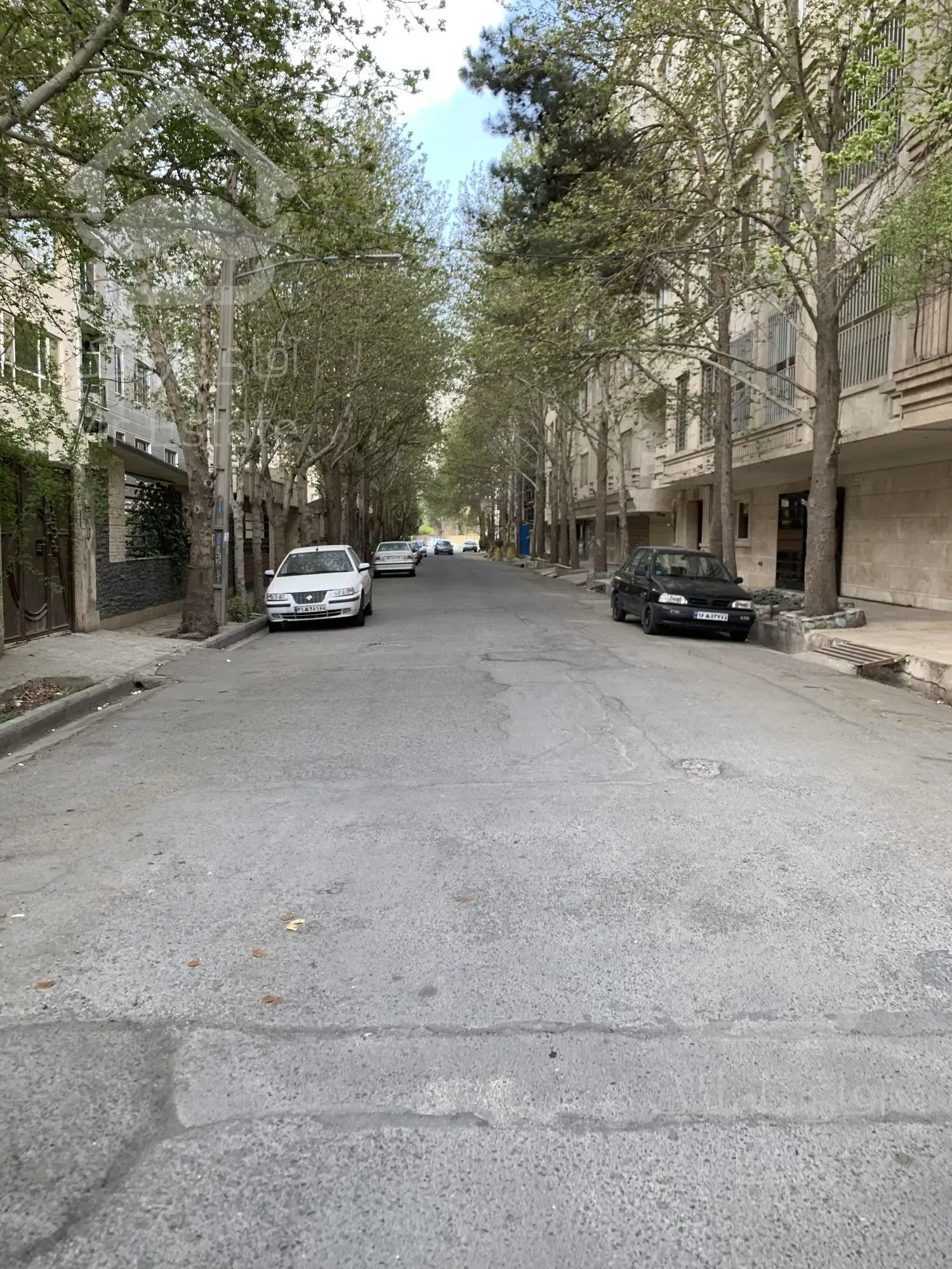 خرید مستقیم از سازنده،برند منطقه