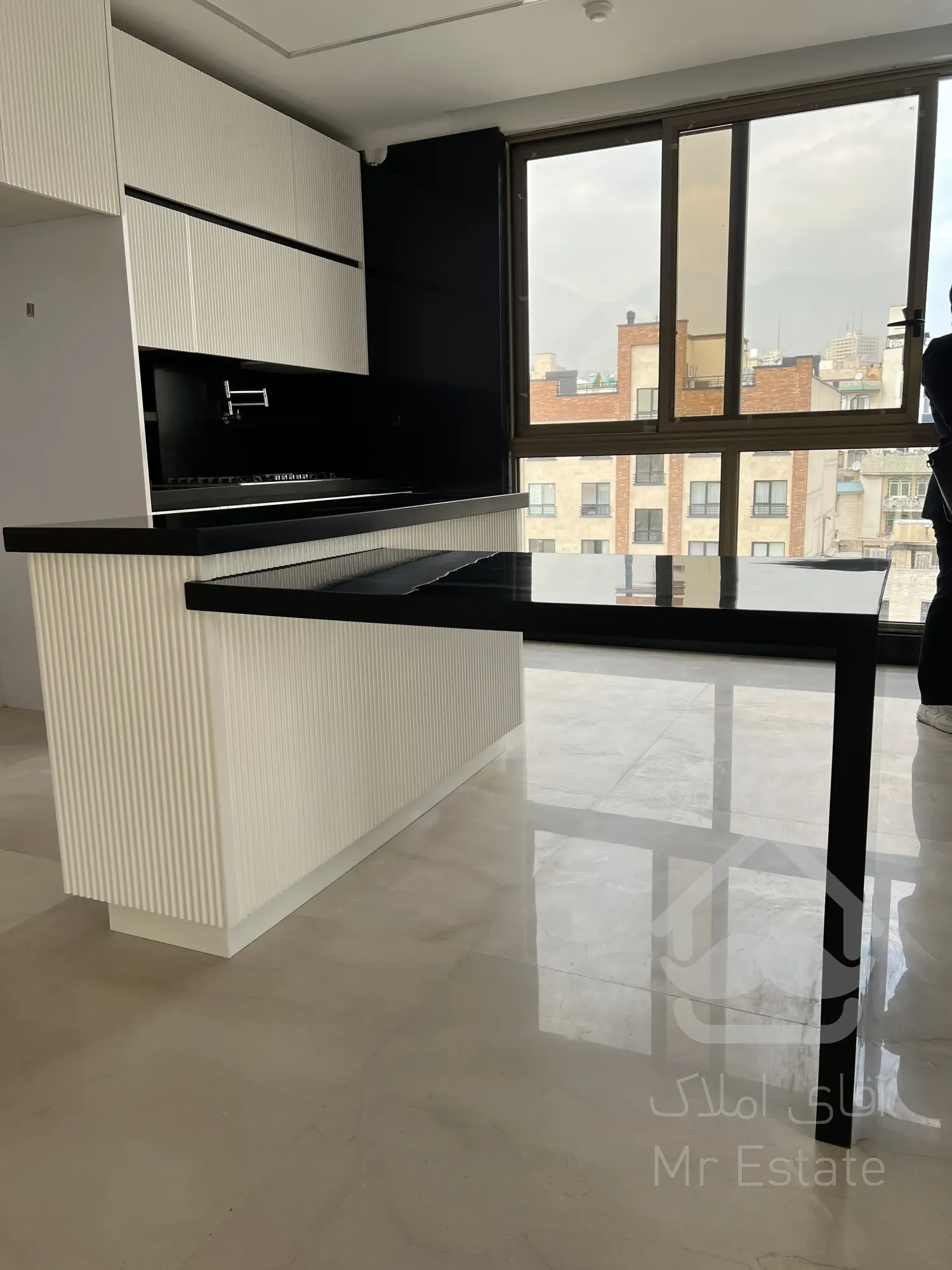 فروش یکجا اپارتمان لوکس در سئول همراه با ۲ باب مغازه