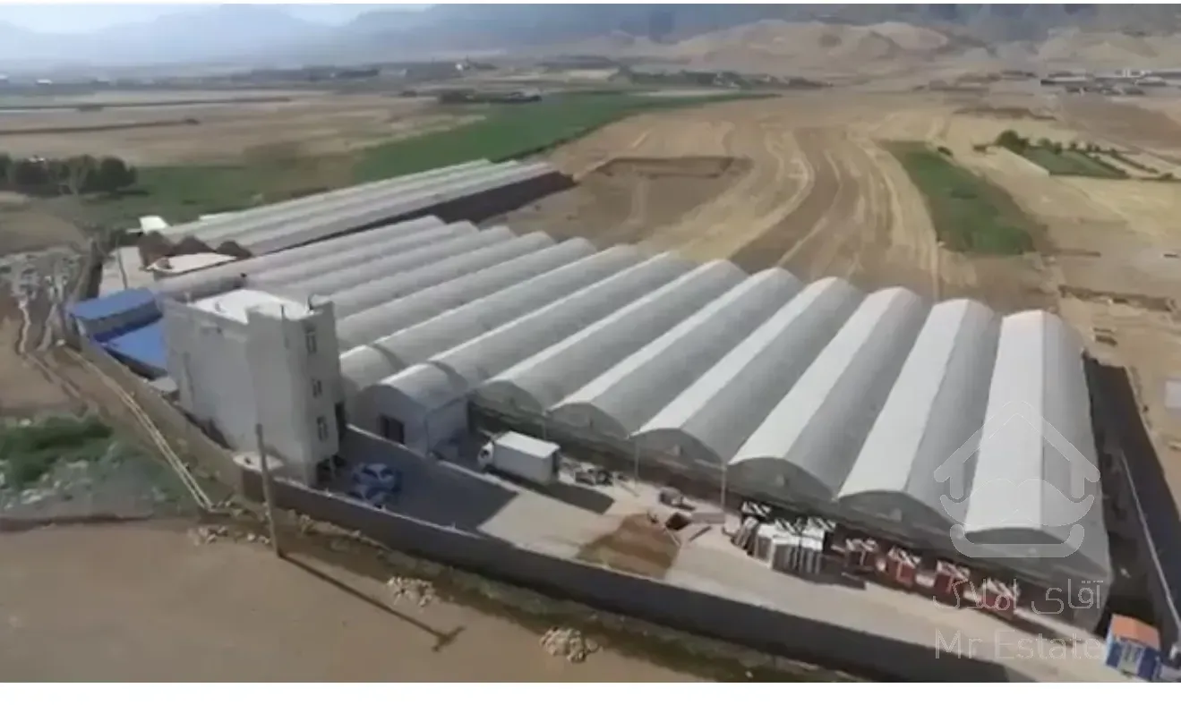 گلخانه صنعتی گل رز