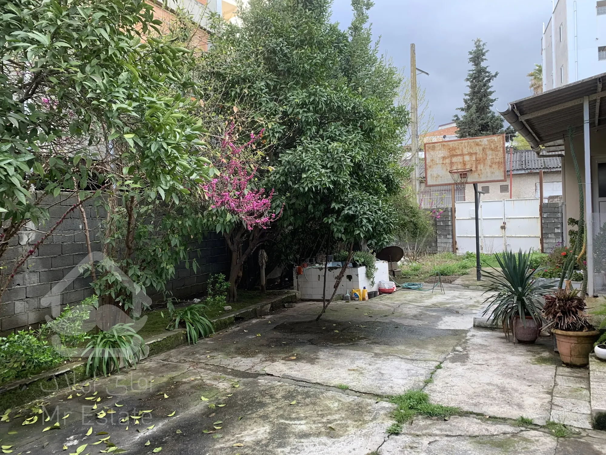 فروش زمین ۴۰۰ متری در عدالت