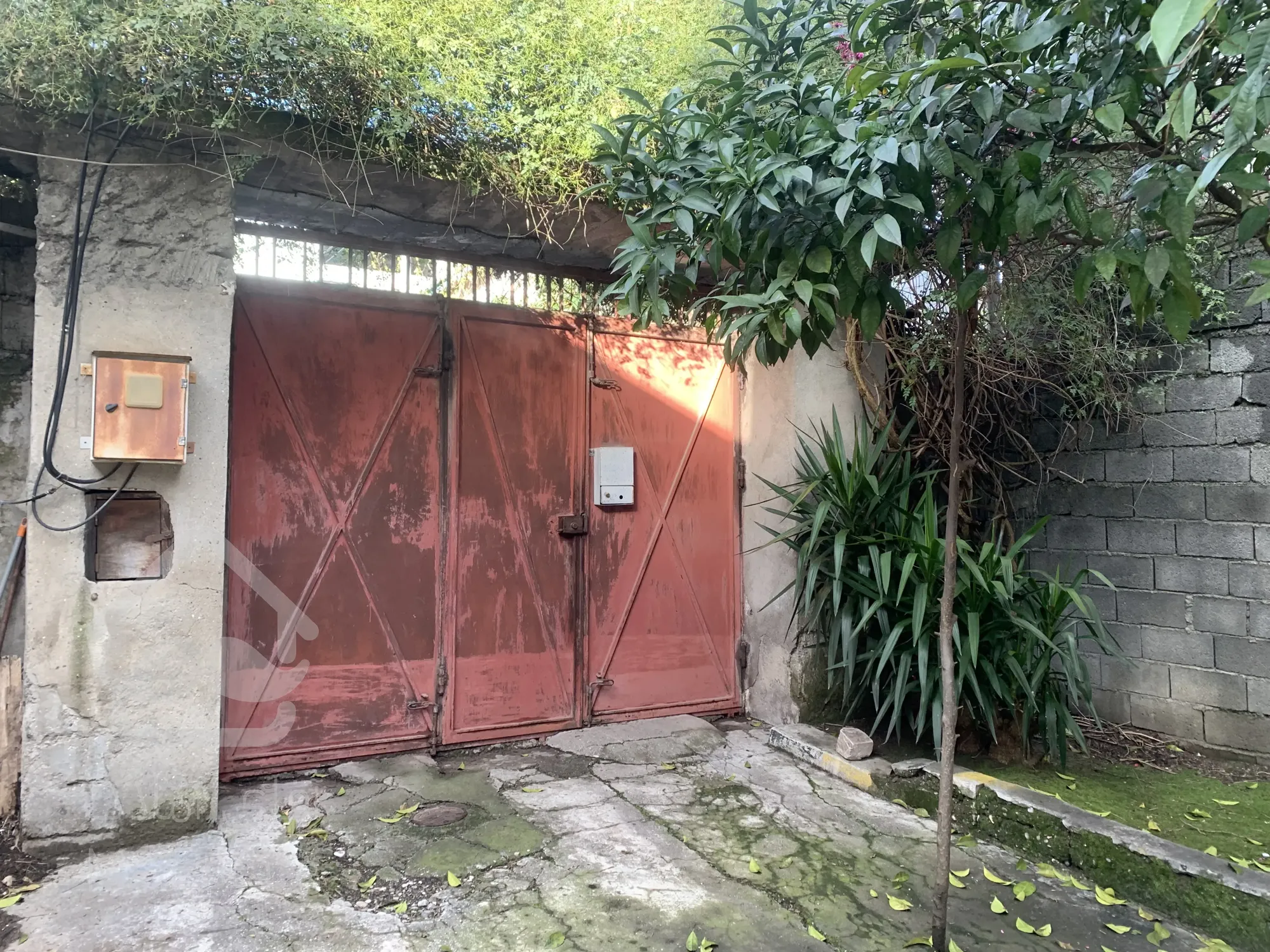 فروش زمین ۴۰۰ متری در عدالت