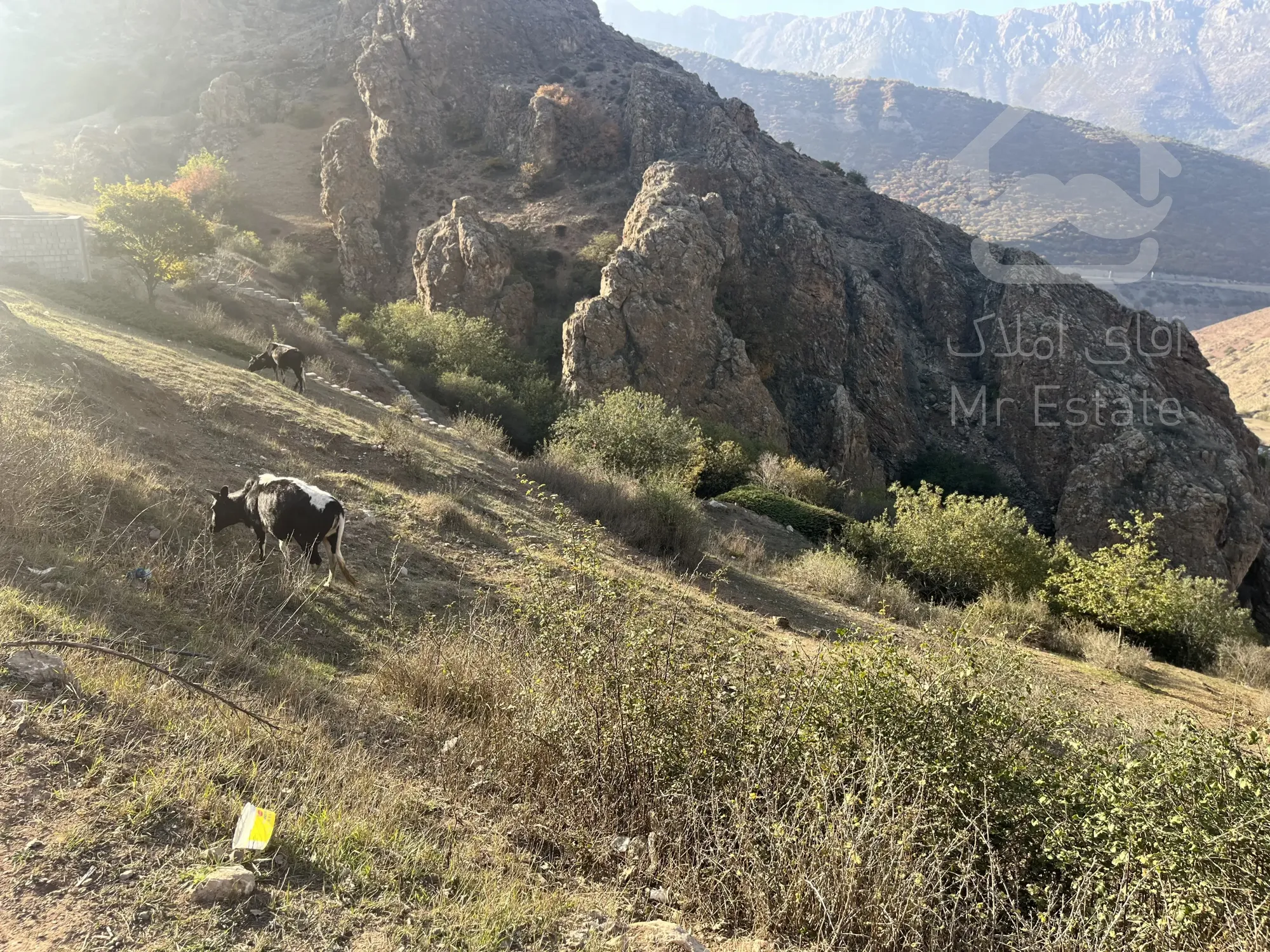 فروش زمین در روستای شورآب سوادکوه به متراژ۲۰۰مترمربع