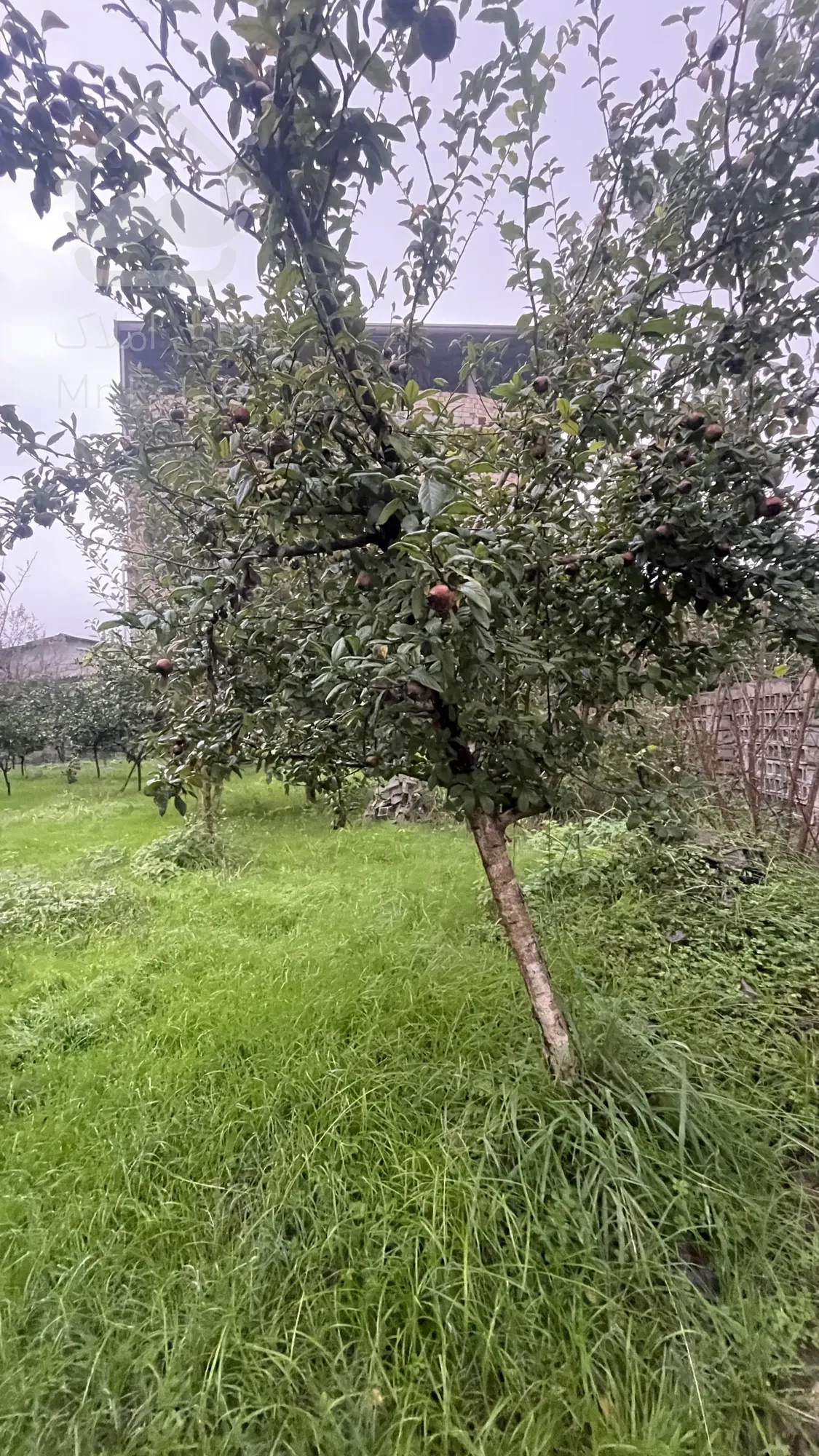 ۱۰۰۰  زمین باغی مناسب ویلا باغ