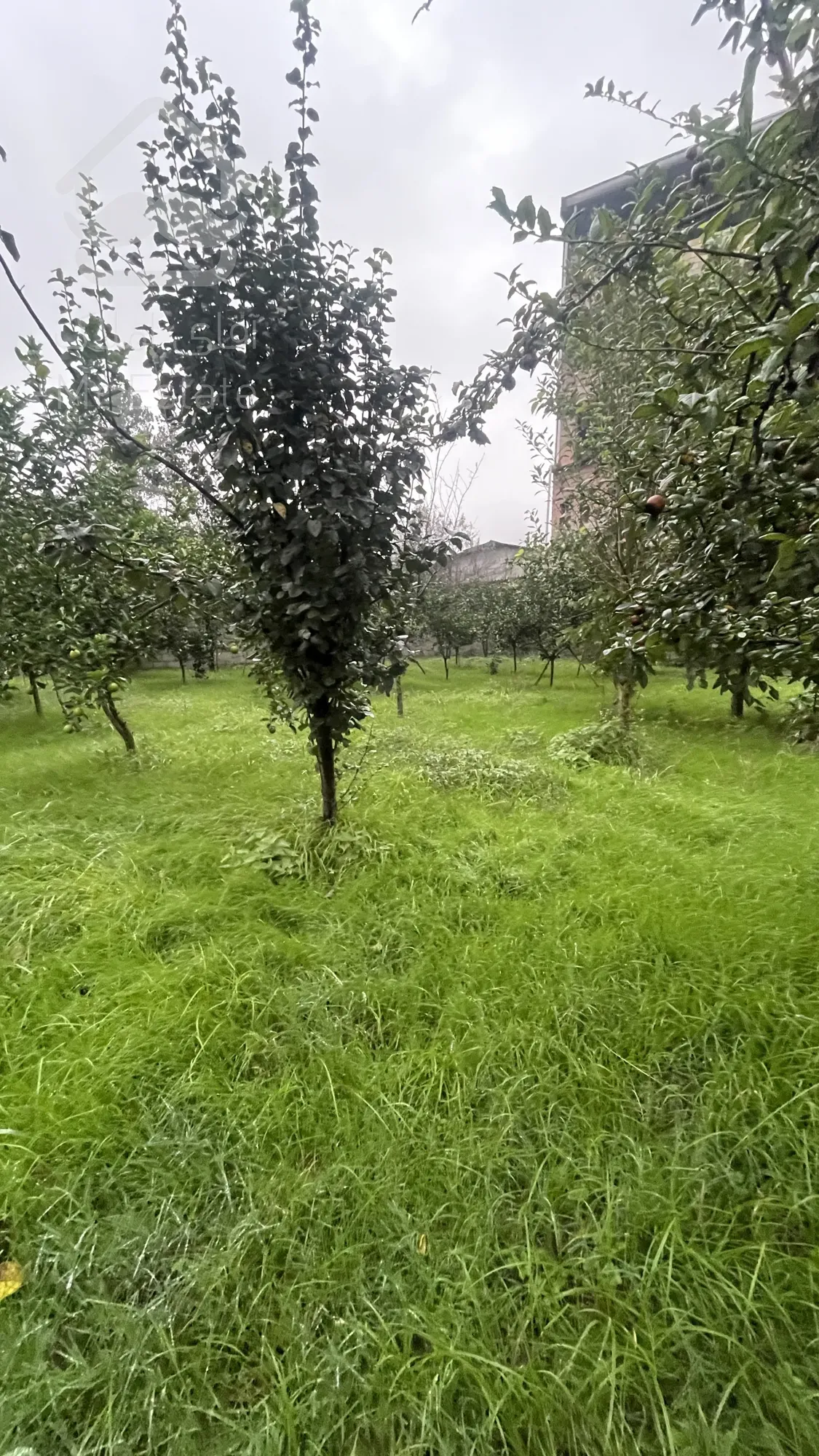 ۱۰۰۰  زمین باغی مناسب ویلا باغ