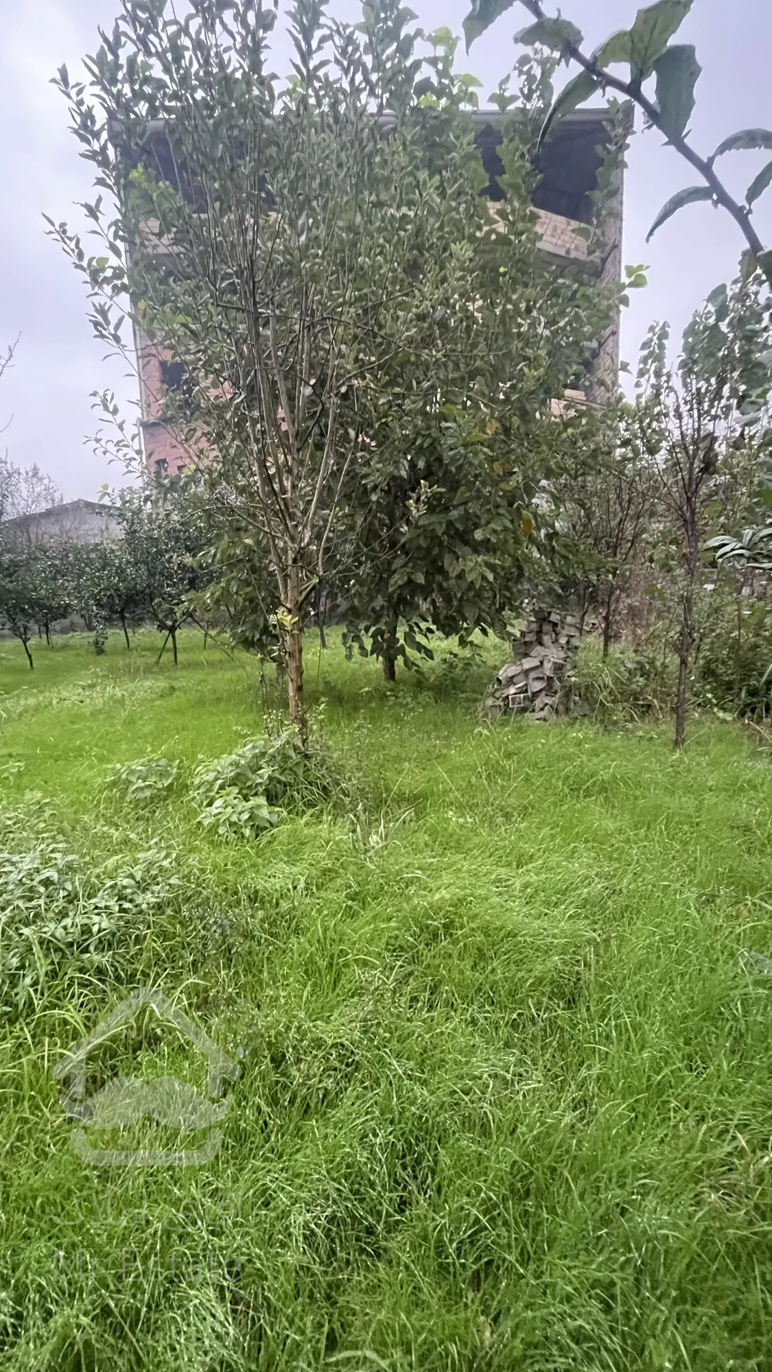 ۱۰۰۰  زمین باغی مناسب ویلا باغ