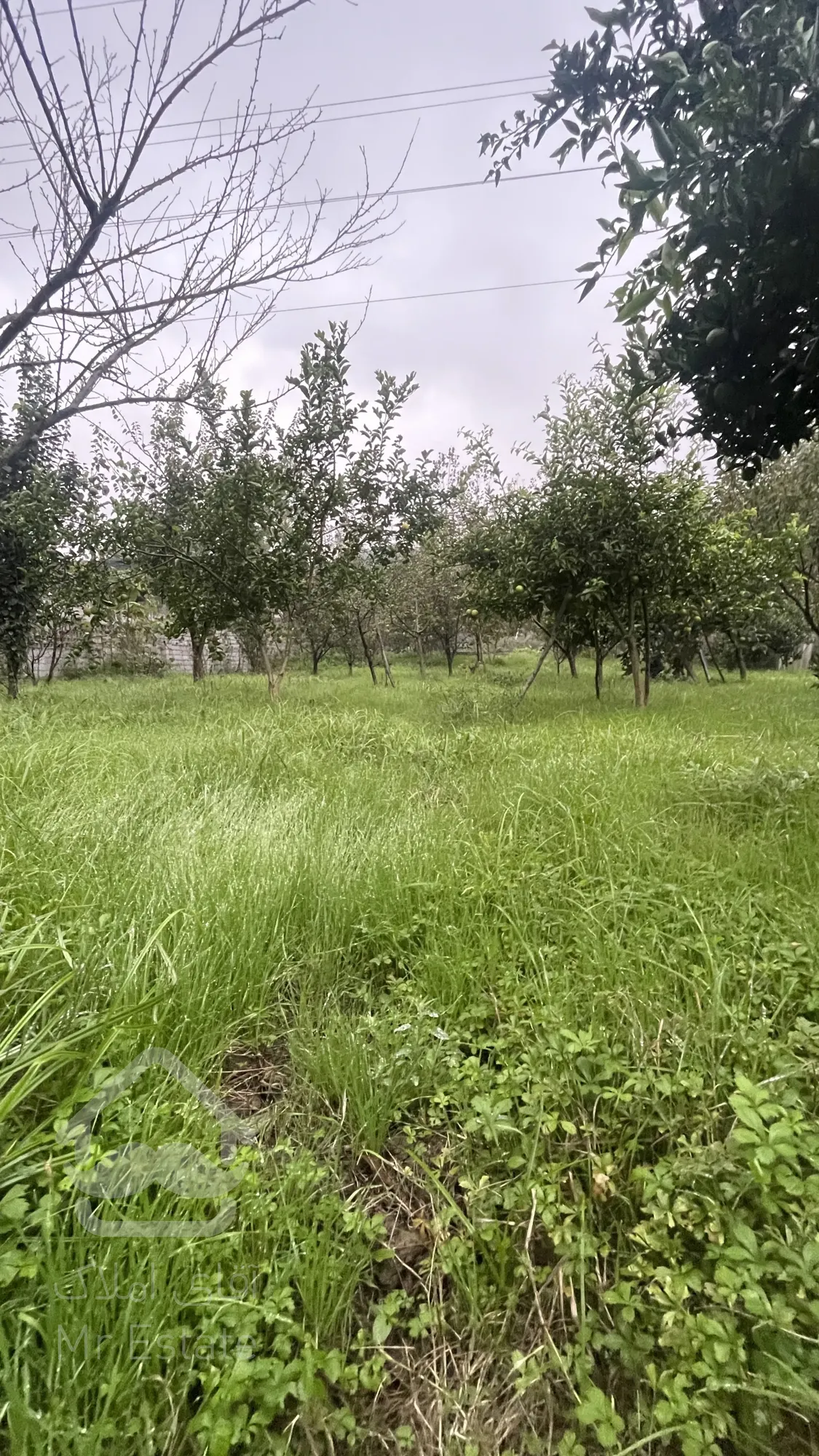 ۱۰۰۰  زمین باغی مناسب ویلا باغ