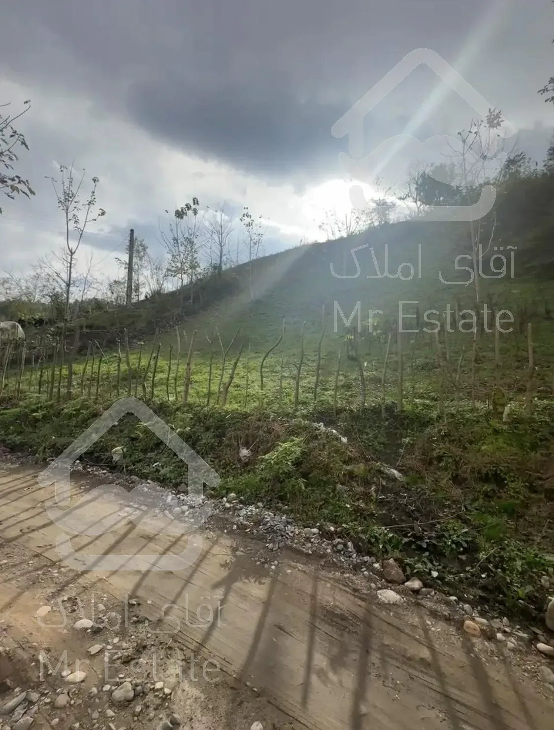 فروش زمین با ویو بی نظیر