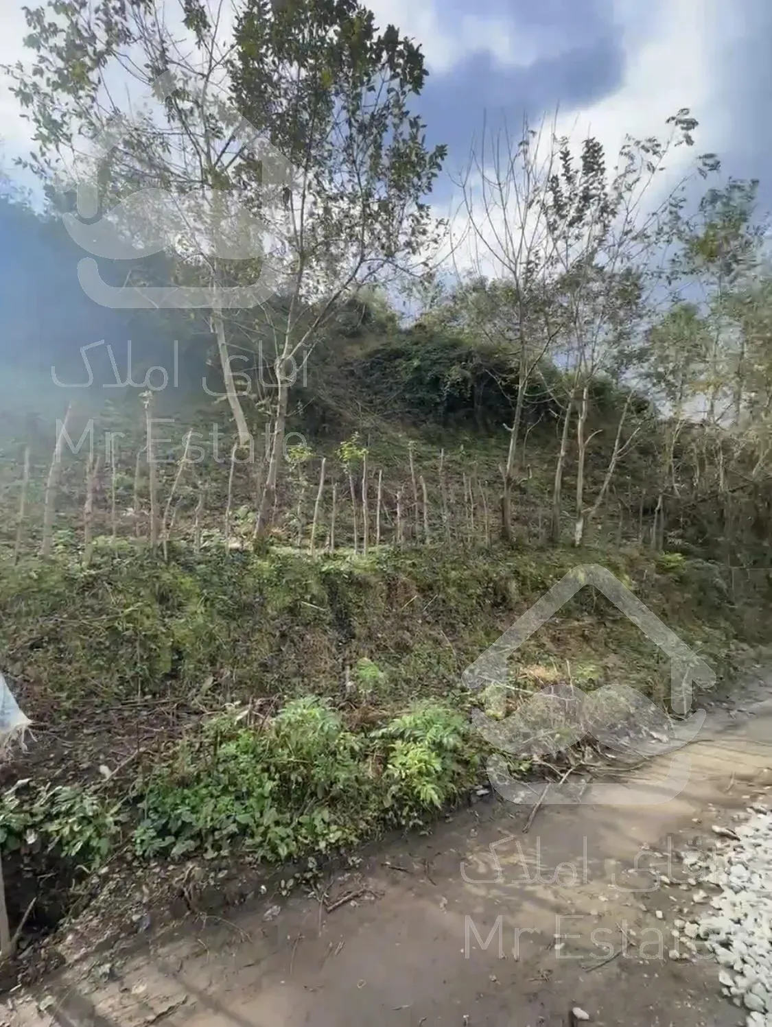 فروش زمین با ویو بی نظیر