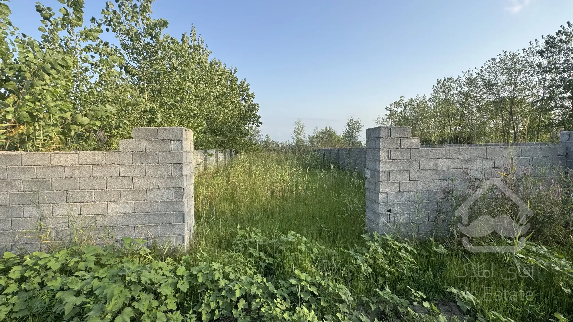 زمین ساحلی خوش قواره،بندر چمخاله