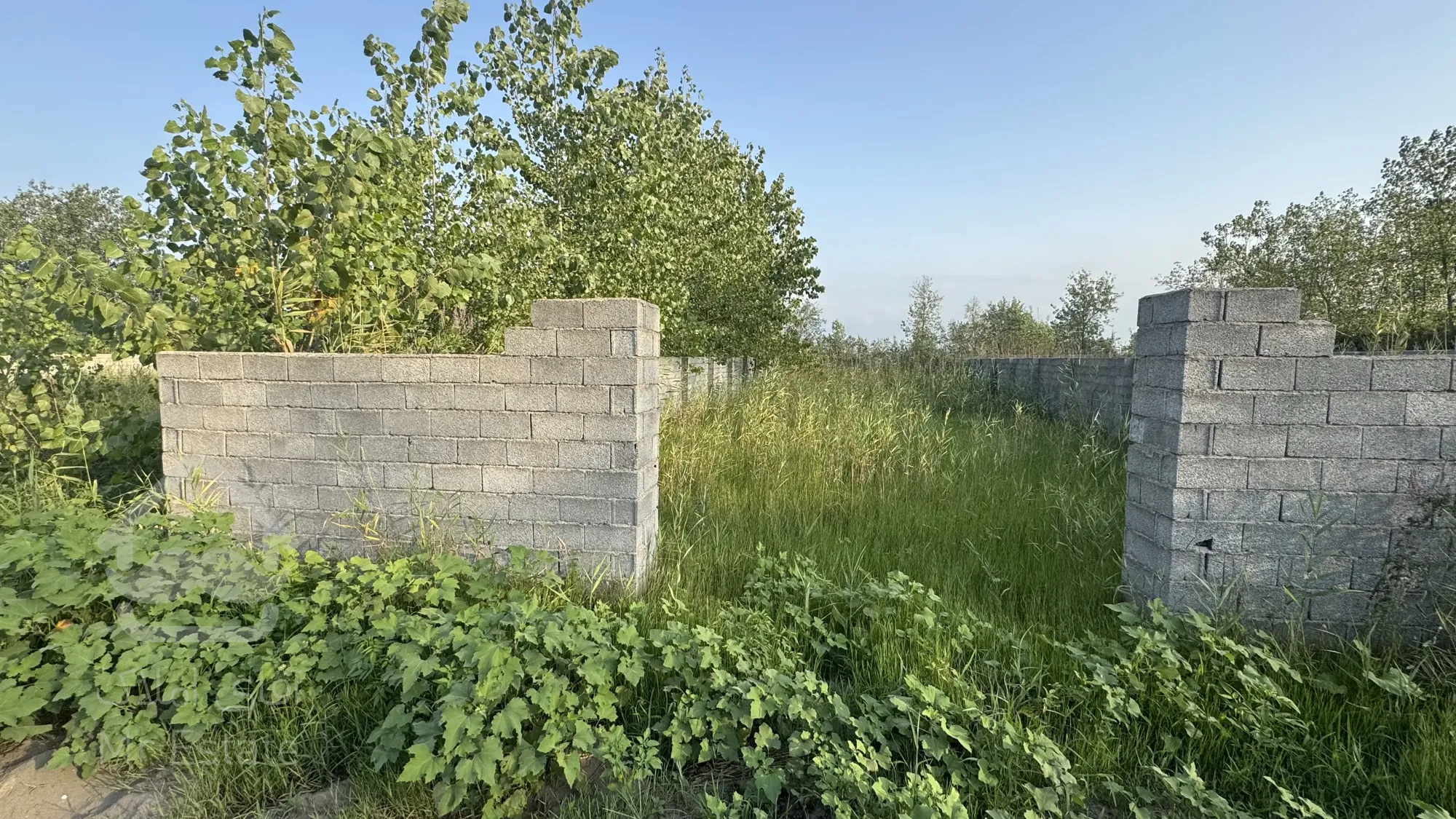 زمین ساحلی خوش قواره،بندر چمخاله