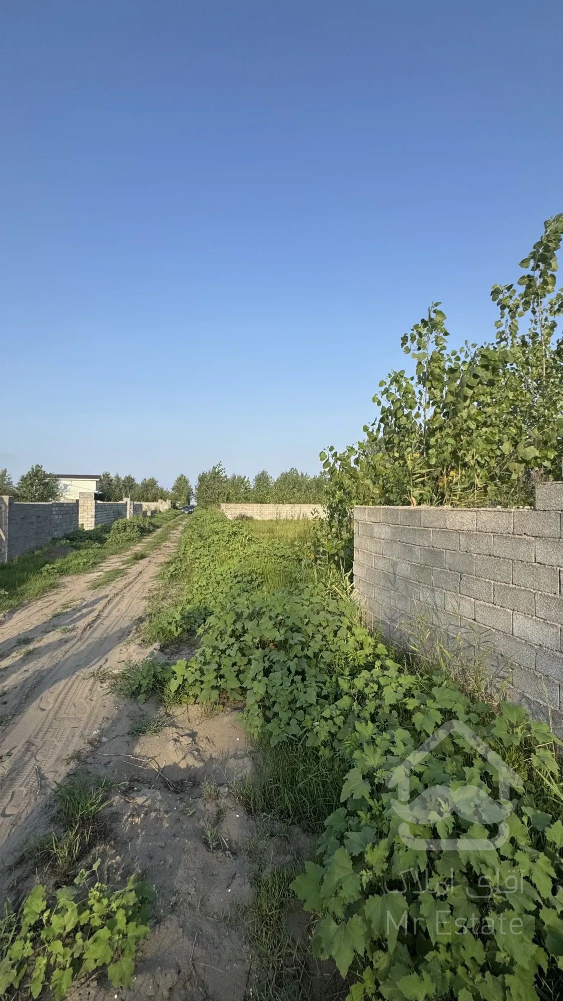 زمین ساحلی خوش قواره،بندر چمخاله