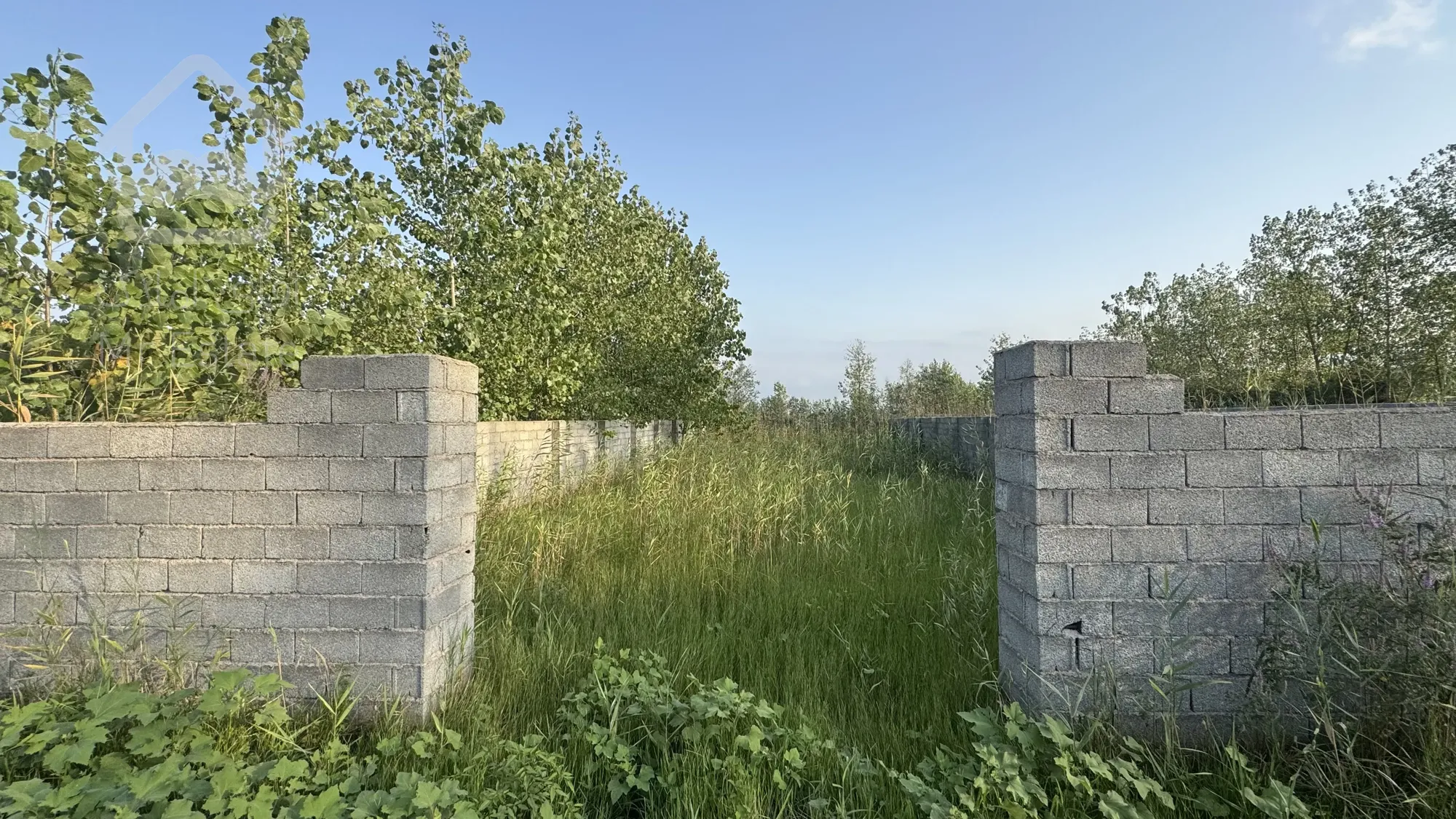 زمین ساحلی خوش قواره،بندر چمخاله