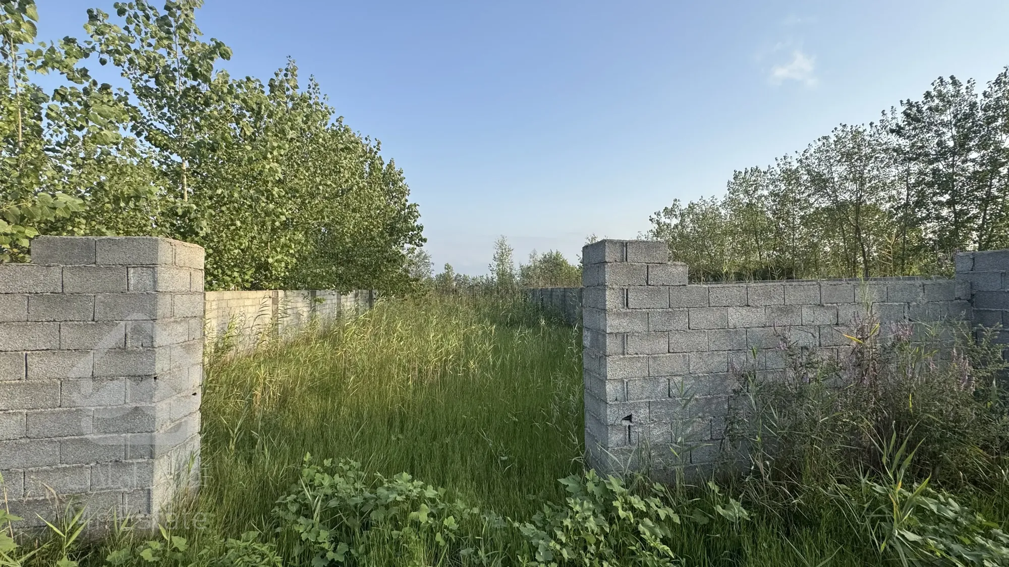 زمین ساحلی خوش قواره،بندر چمخاله