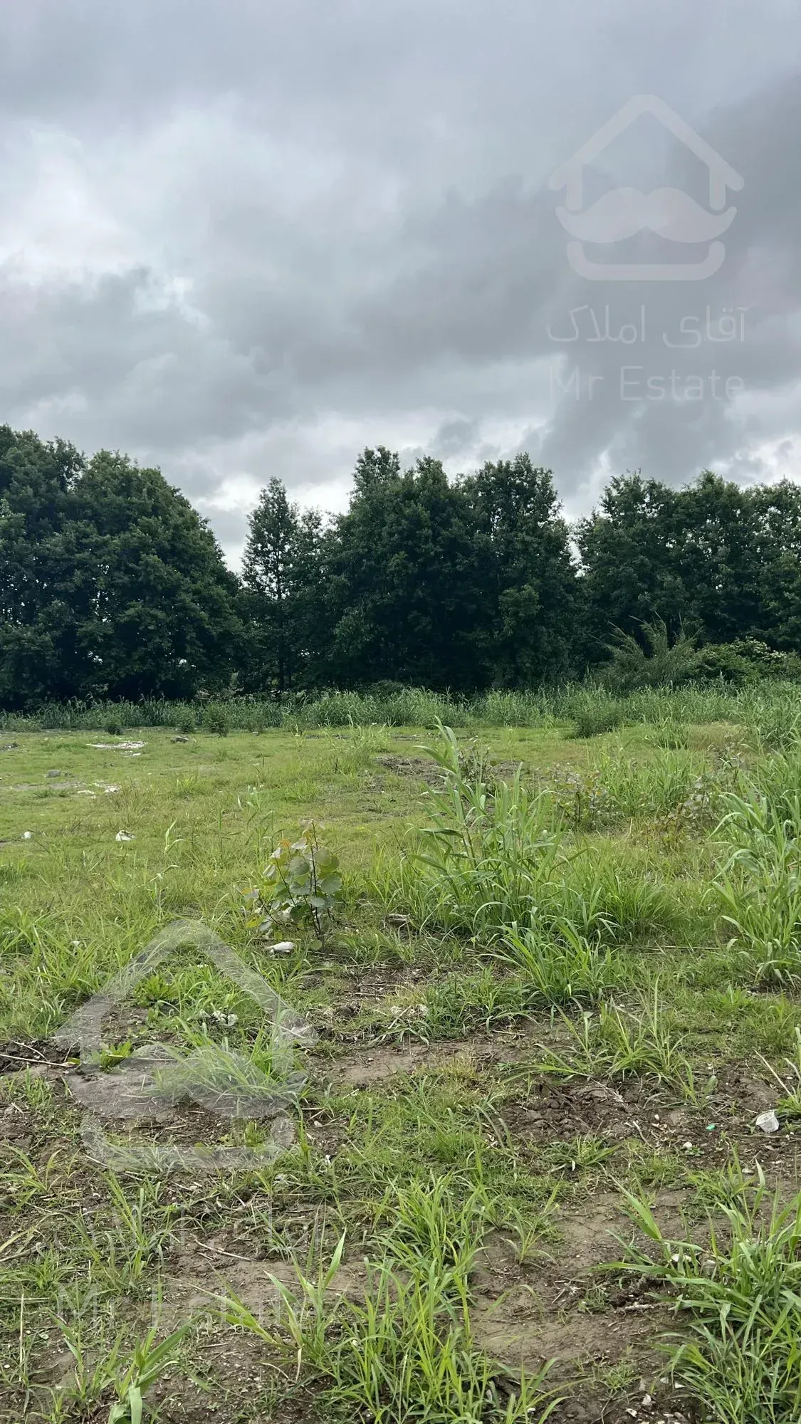 زمین فروشی در سرخرود