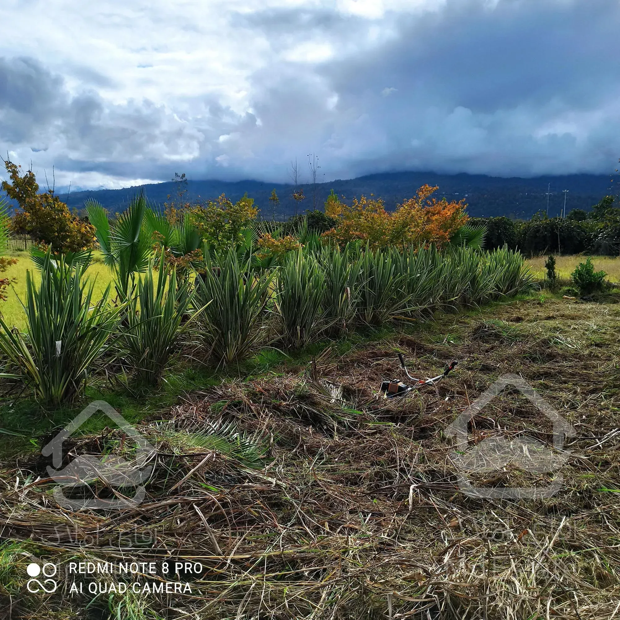 فروش زمین کشاورزی6440متری