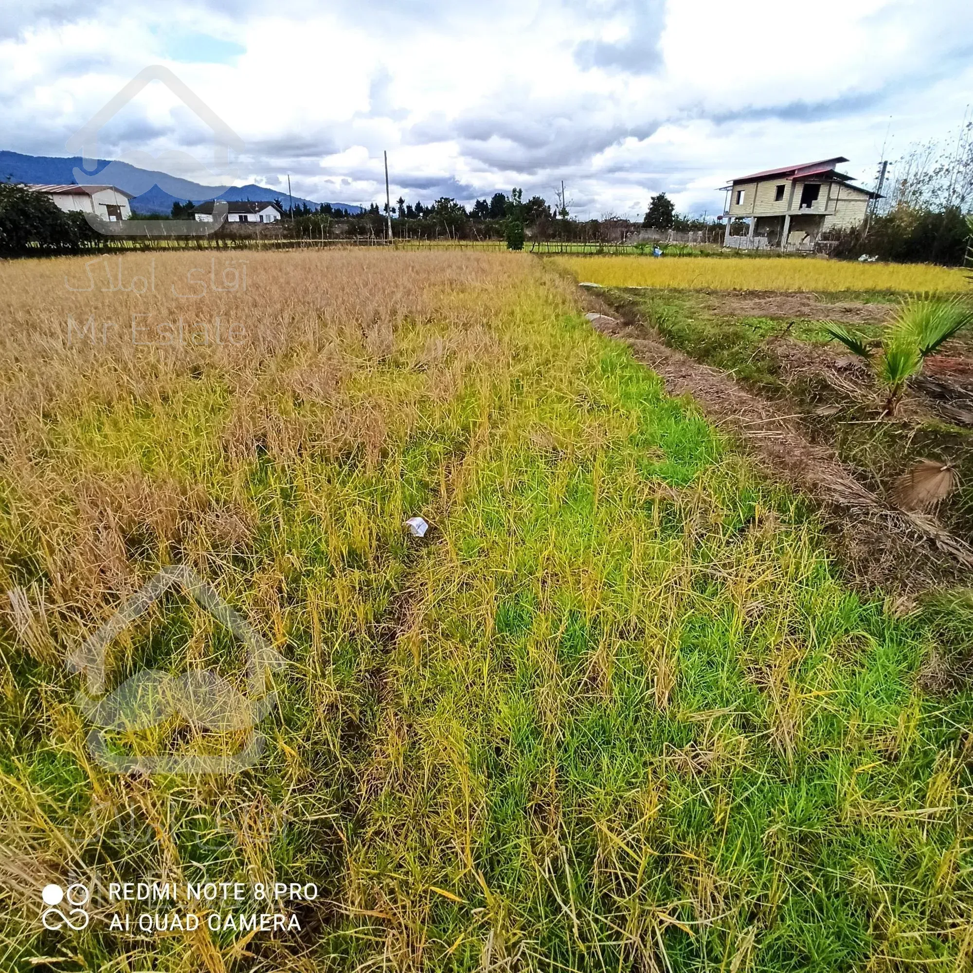 فروش زمین کشاورزی6440متری