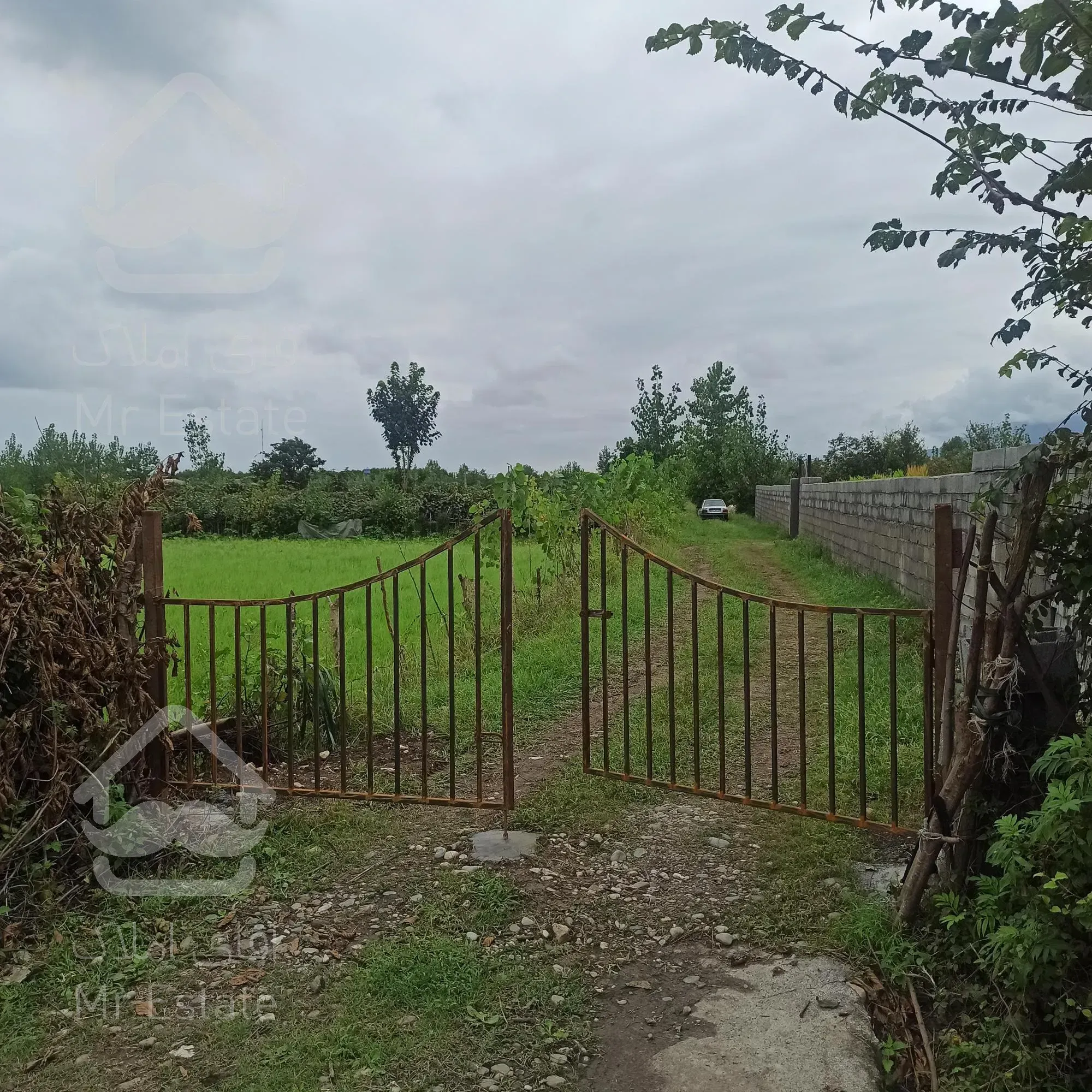 فروش زمین کشاورزی6440متری