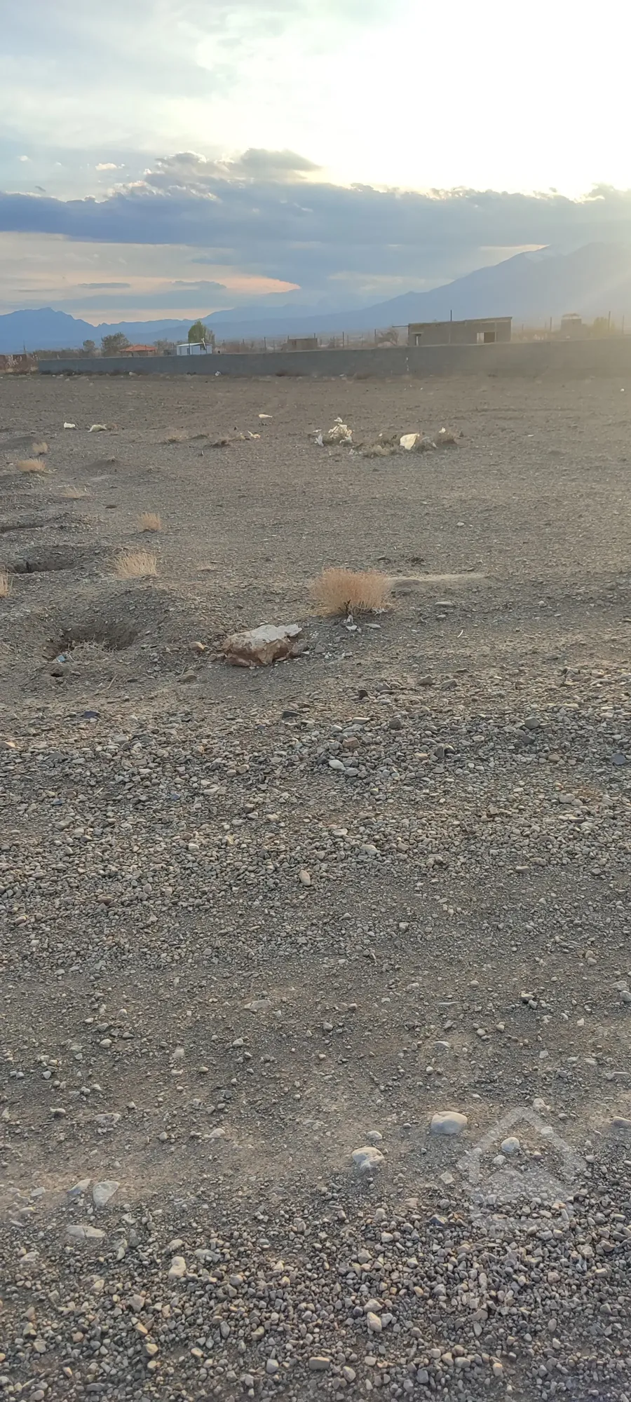 فروش زمین کشاورزی