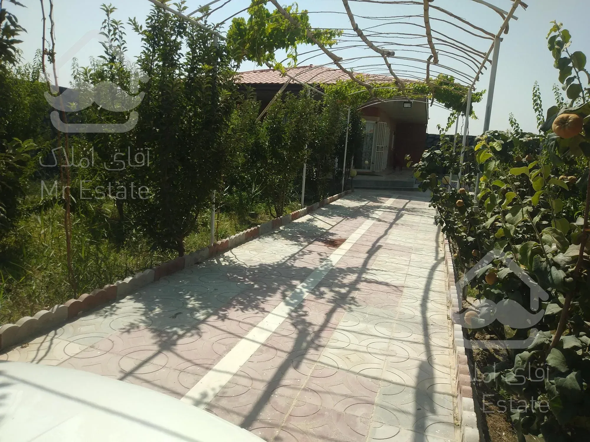 اجاره باغ و ویلا