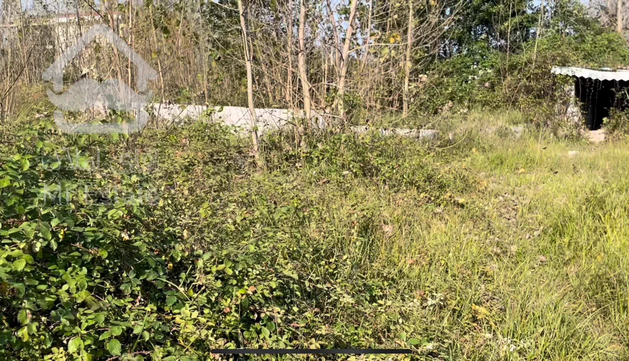 فروش فوری فوری زمین در گیلان/انزلی