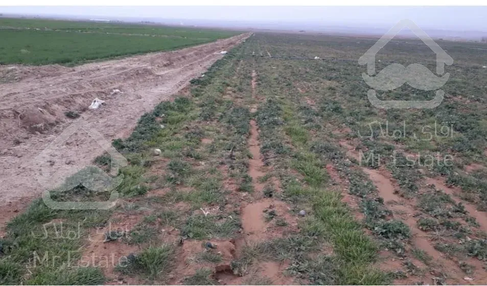 فروش زمین زراعی