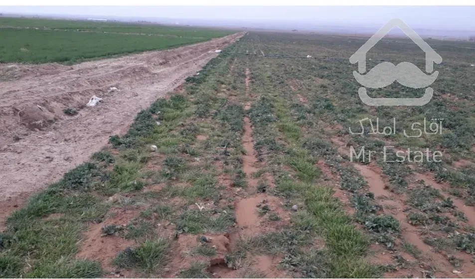 فروش زمین زراعی