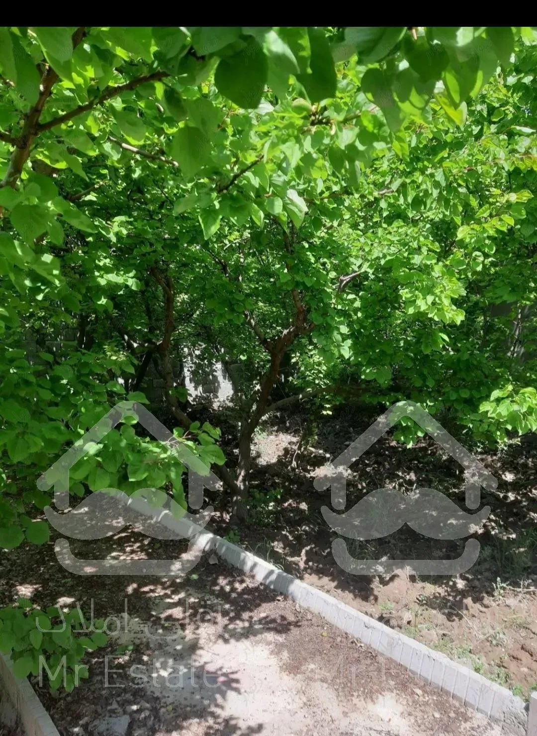 باغچه نقلی شهریار