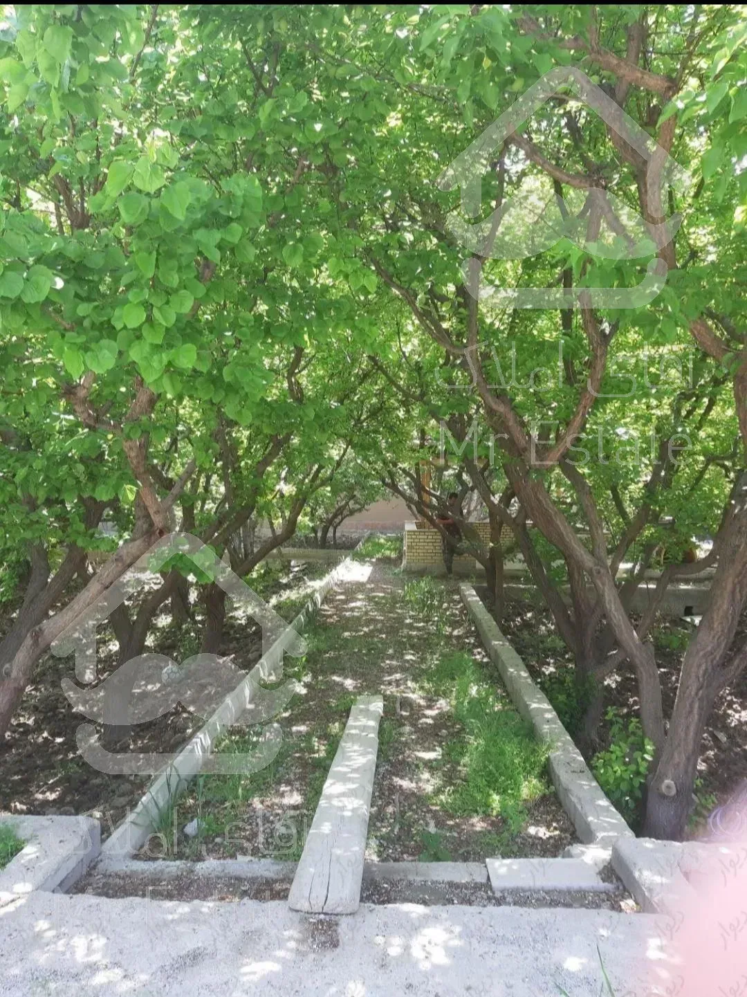 باغچه نقلی شهریار