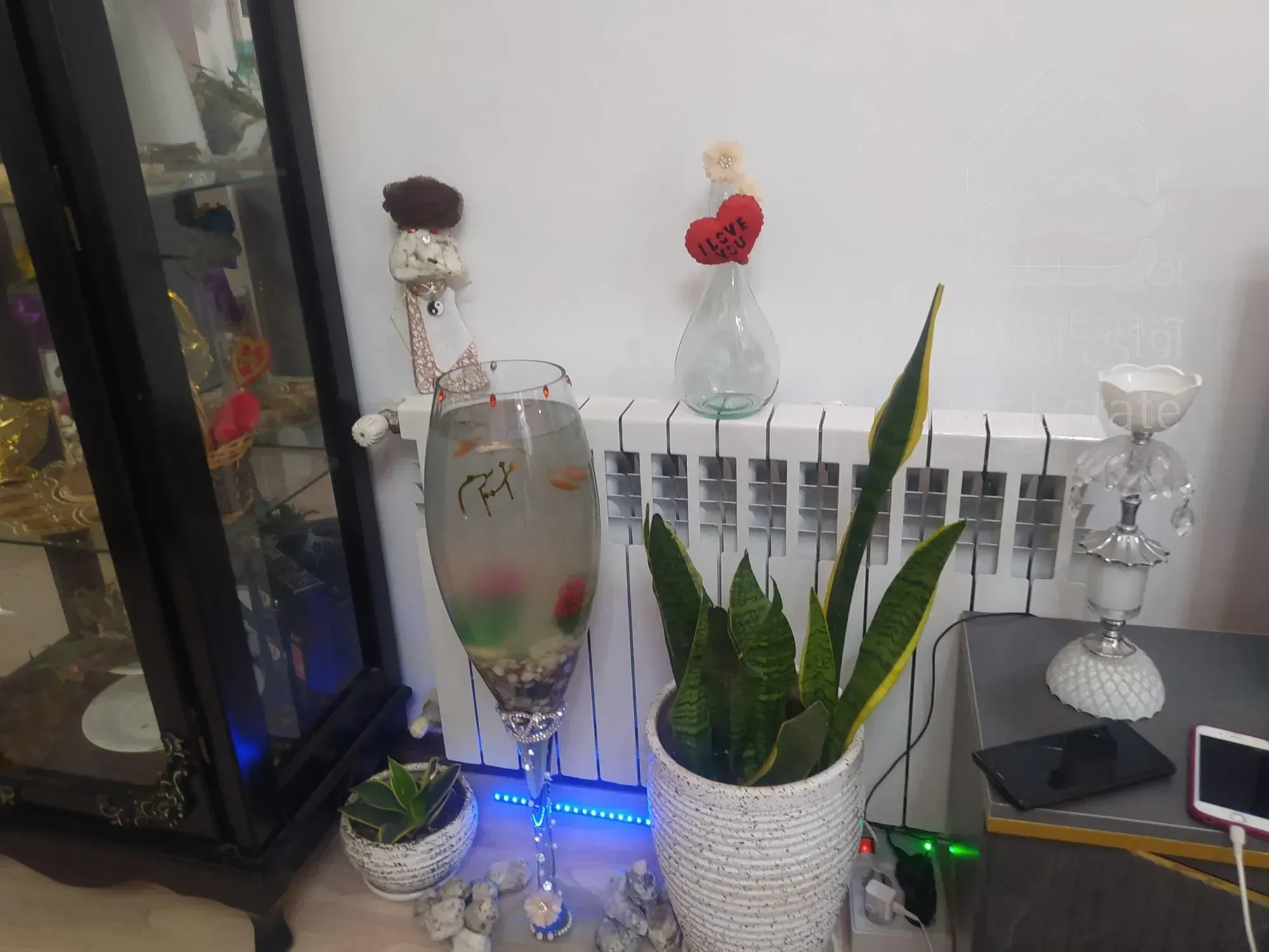 اجاره  فوری تخیله