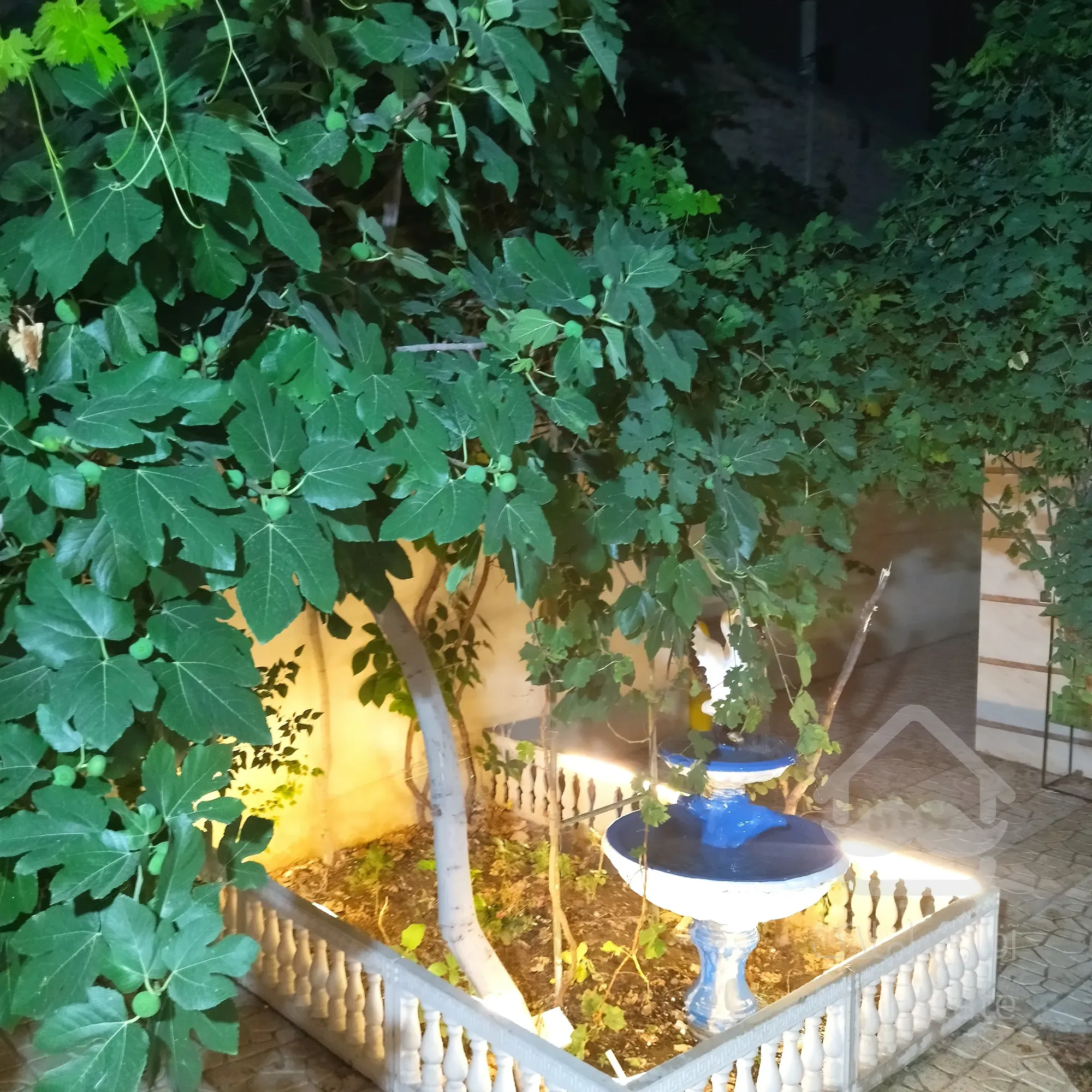 حیاط یک طبقه سرمایه گذاری تاپ لوکیشن خیابان آبرسان دمشقیه