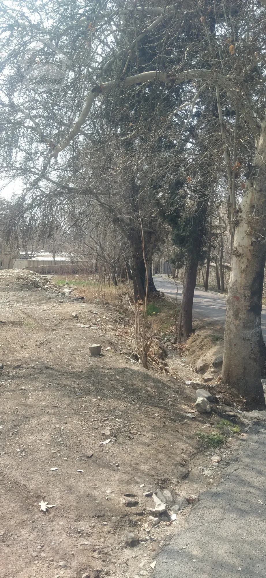 مشارکت در ساخت ۵۰/۵۰