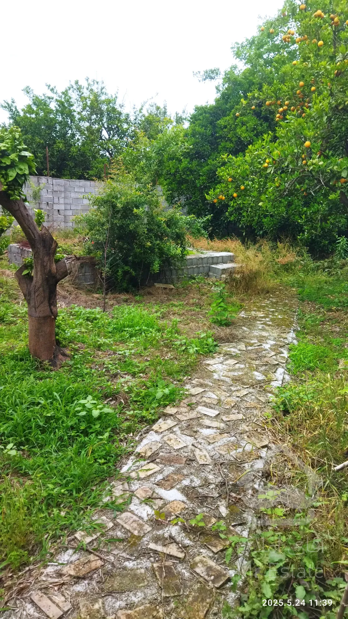 اجاره ویلا مبله سالیانه