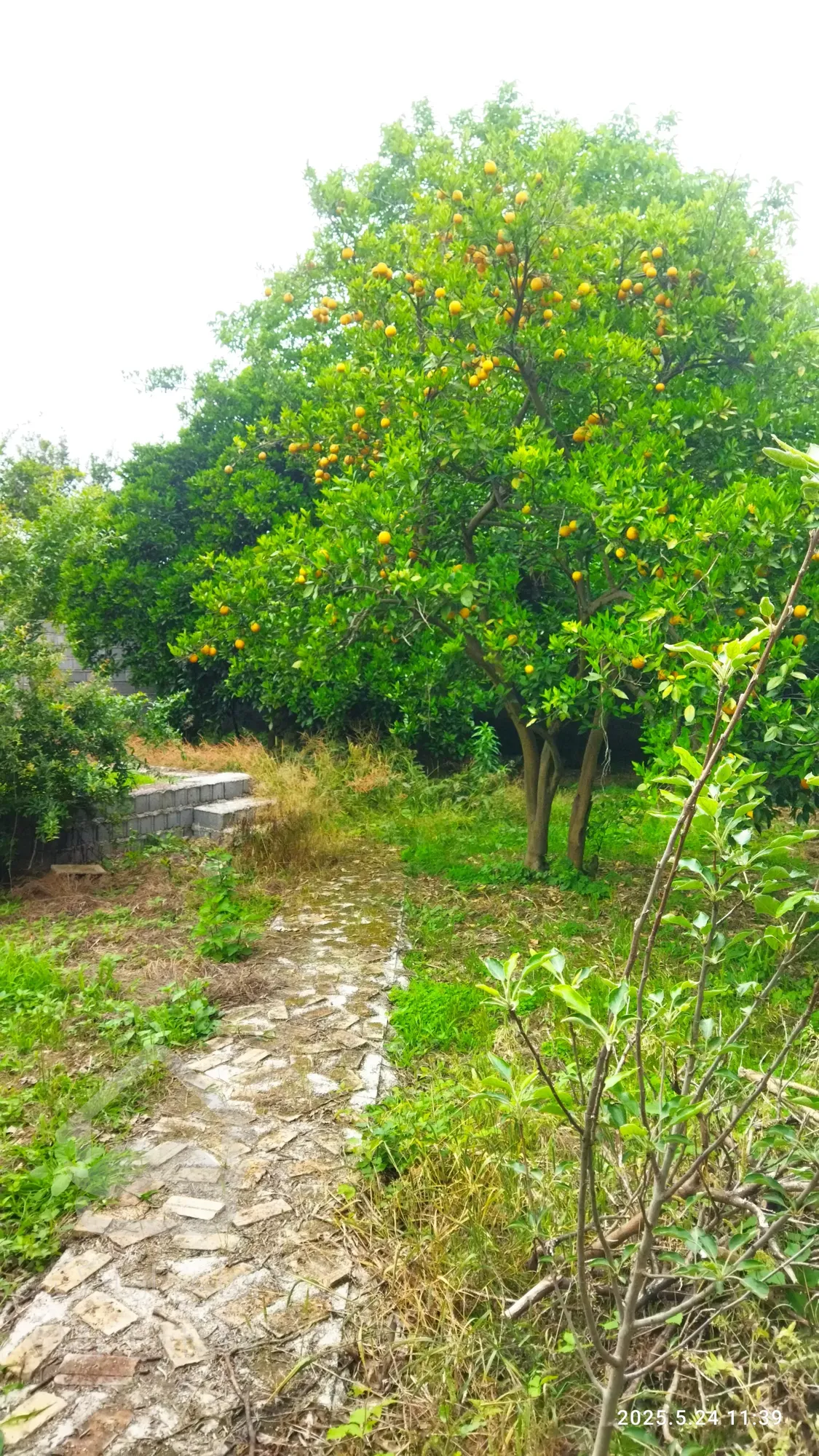 اجاره ویلا مبله سالیانه