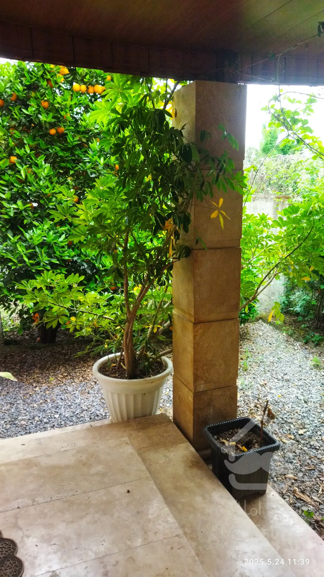 اجاره ویلا مبله سالیانه