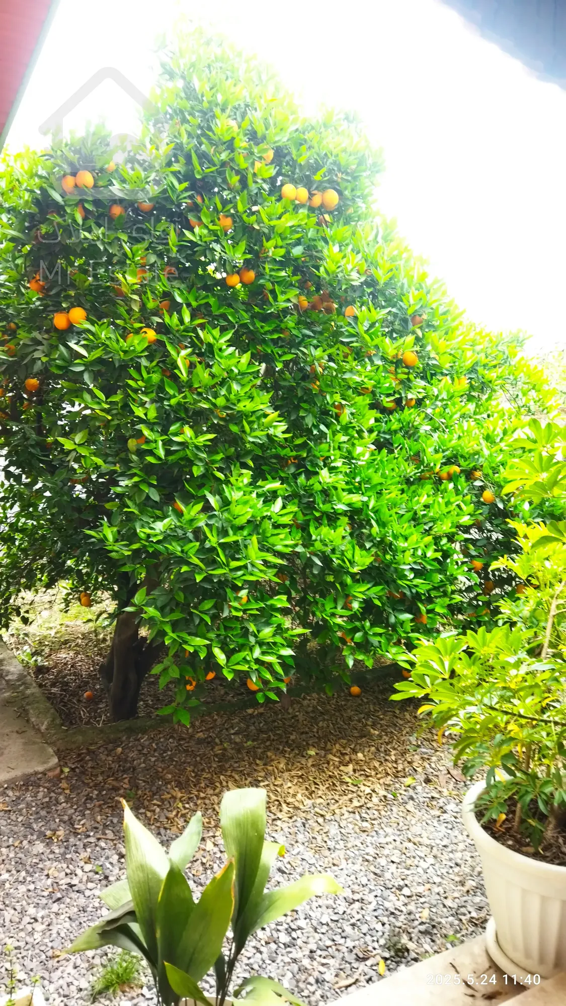 اجاره ویلا مبله سالیانه