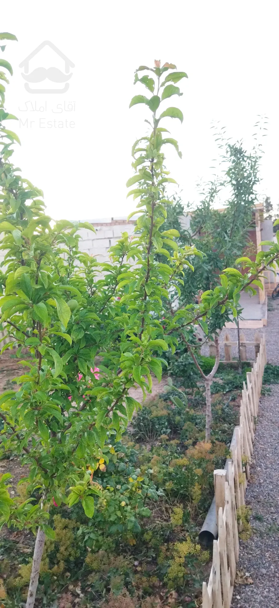 خونه ویلایی مسکونی داخل بافت روستایی