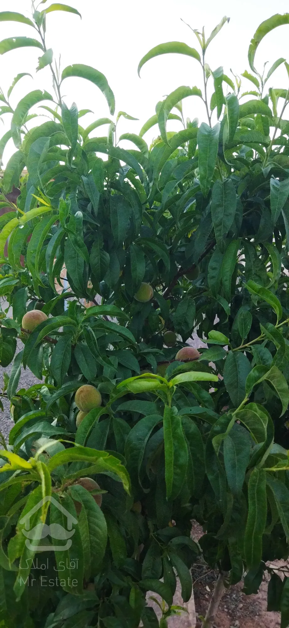 خونه ویلایی مسکونی داخل بافت روستایی