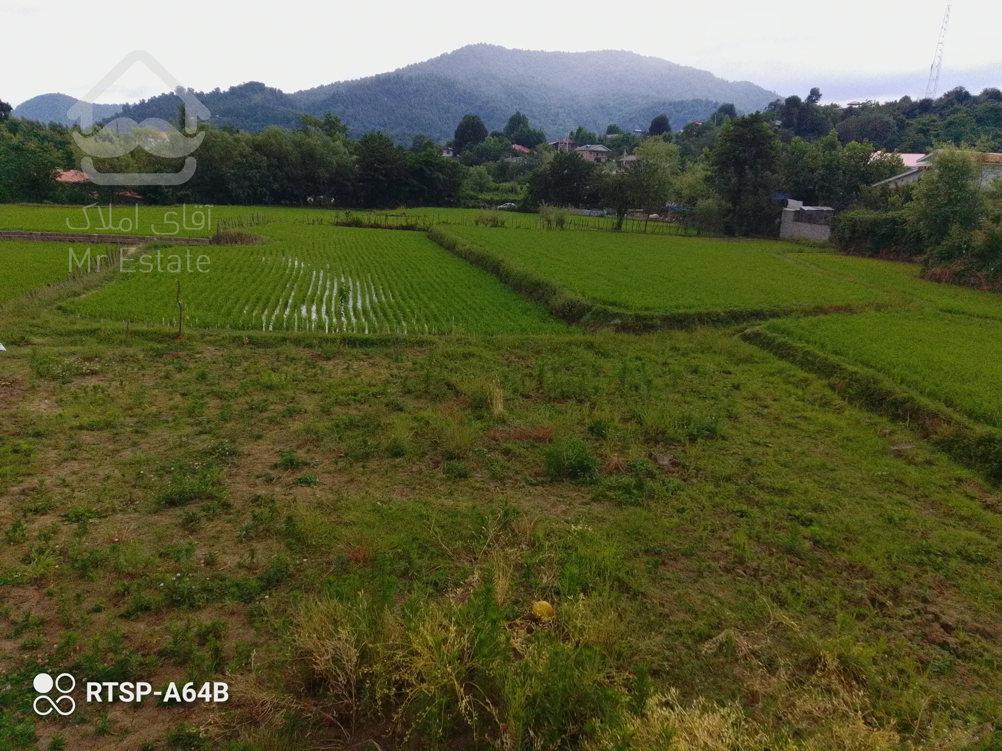 اجاره ویلا روزانه در ماسال