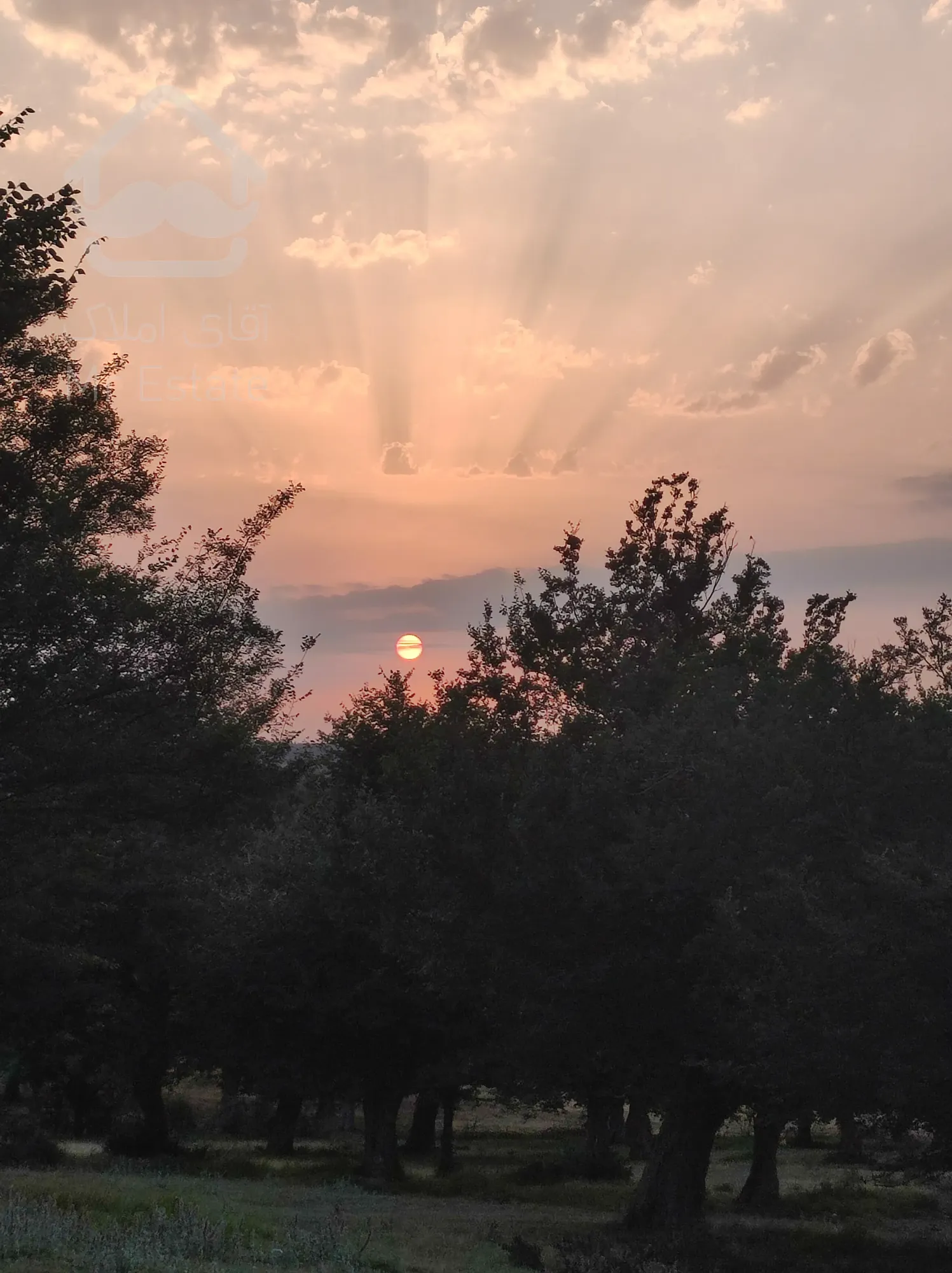 اجاره آپارتمان ۶۸متر فول امکانات نوسازی شده